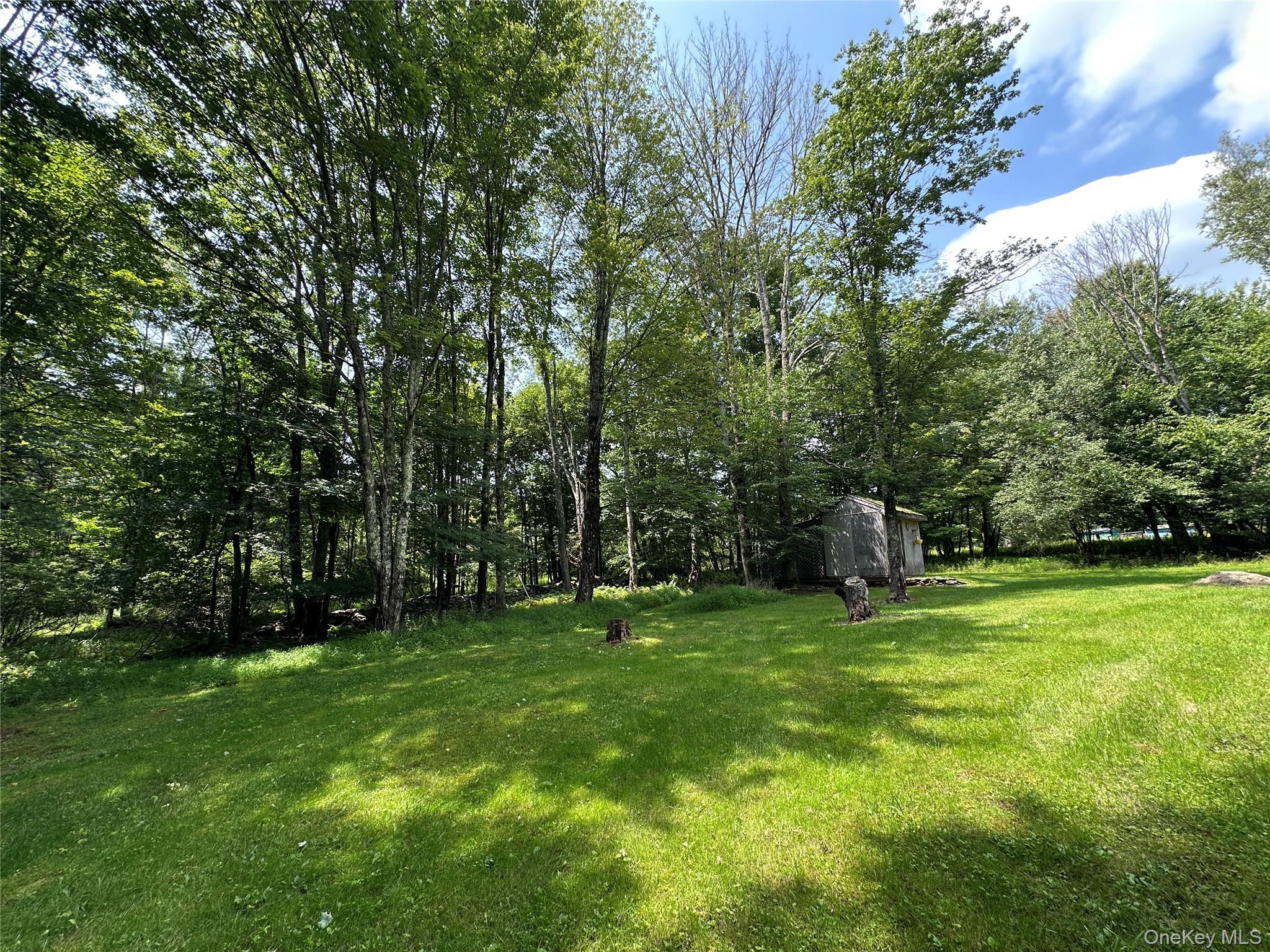 Single Family Lindholm Road Sullivan County, NY 12747, MLS-1008393-25