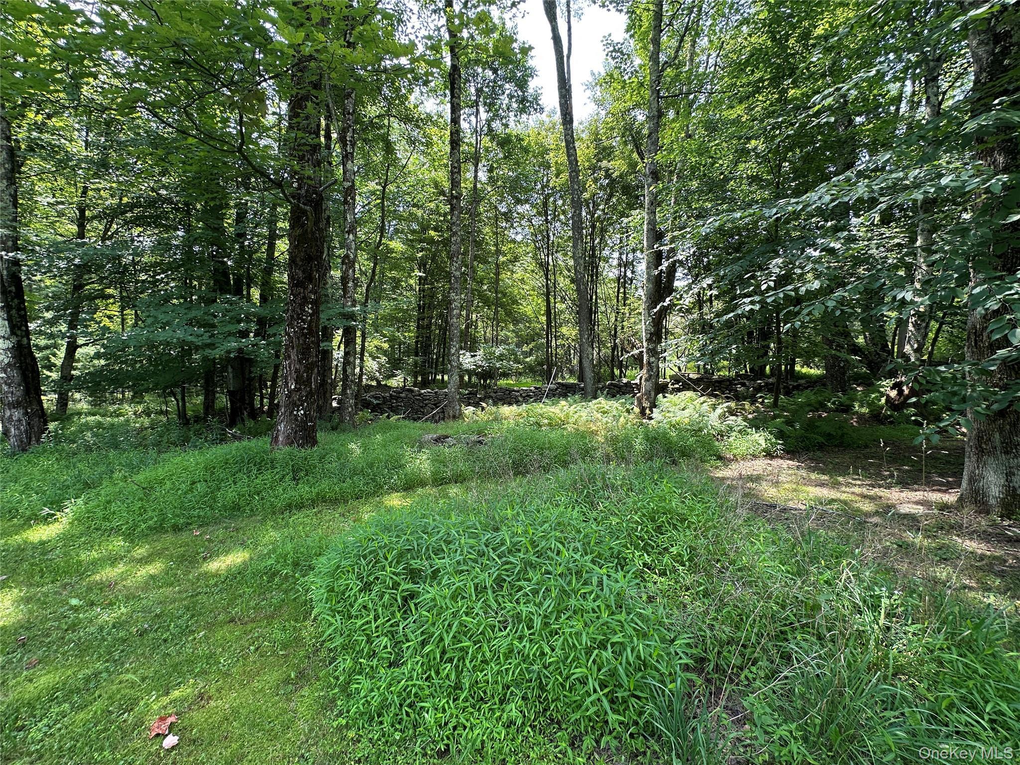 Single Family Lindholm Road Sullivan County, NY 12747, MLS-1008393-3
