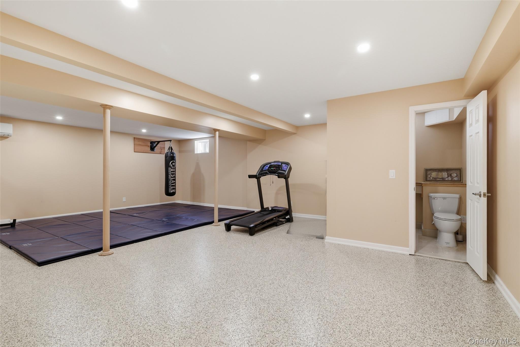 Single Family Old Willets Path Suffolk County, NY 11787, MLS-1008414-26