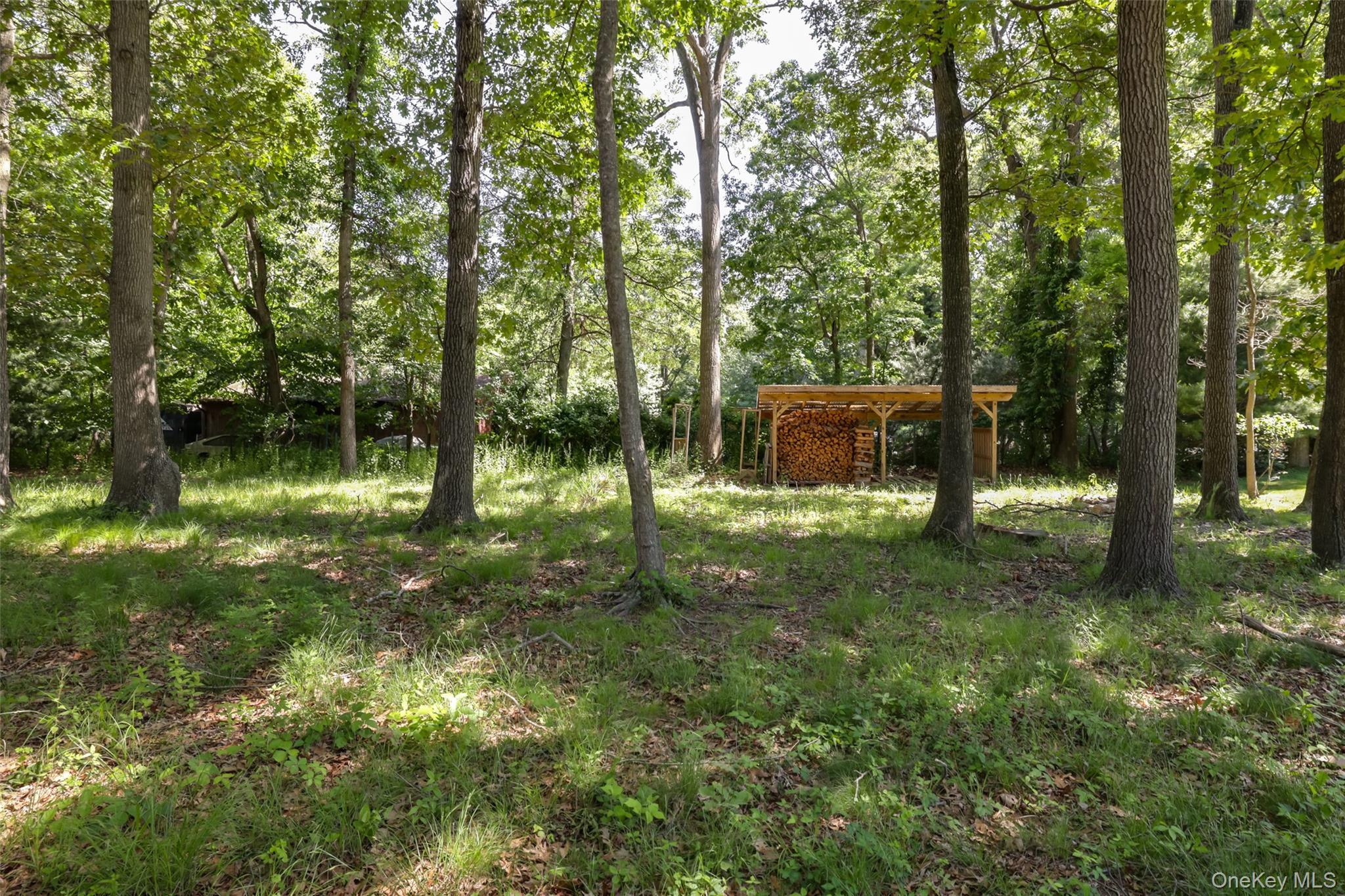 Single Family Old Willets Path Suffolk County, NY 11787, MLS-1008414-31