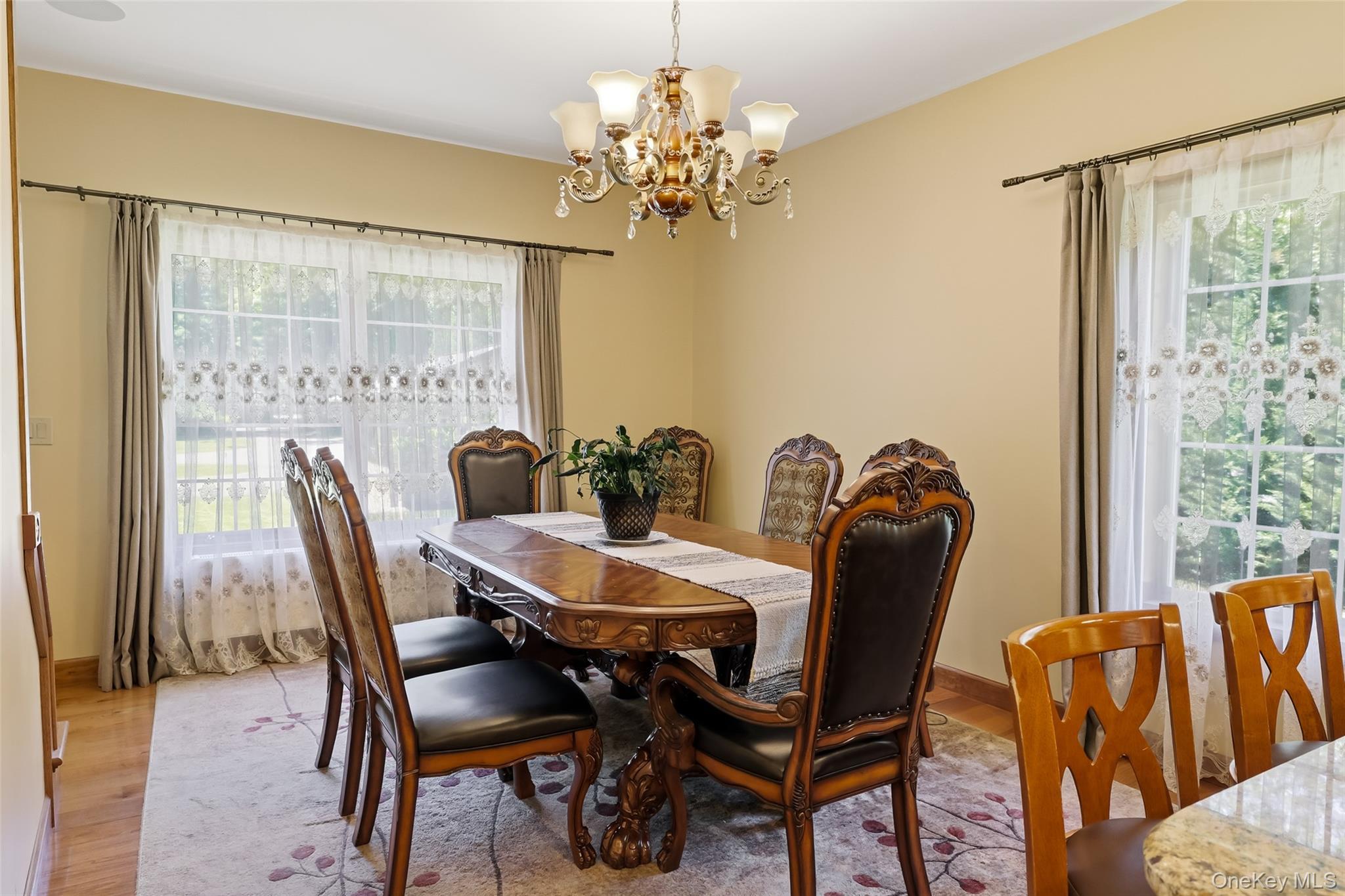 Single Family Old Willets Path Suffolk County, NY 11787, MLS-1008414-4