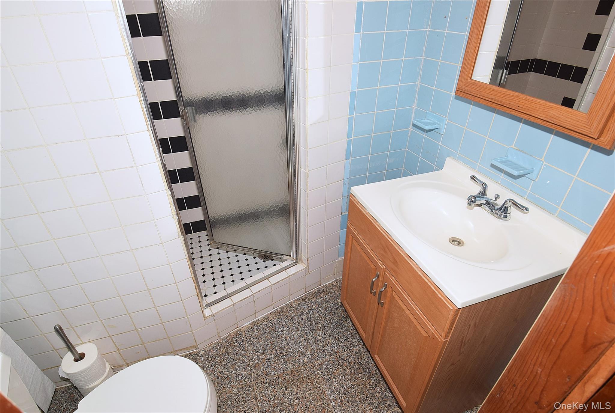 Single Family Bauer Street Nassau County, NY 11003, MLS-1008417-18