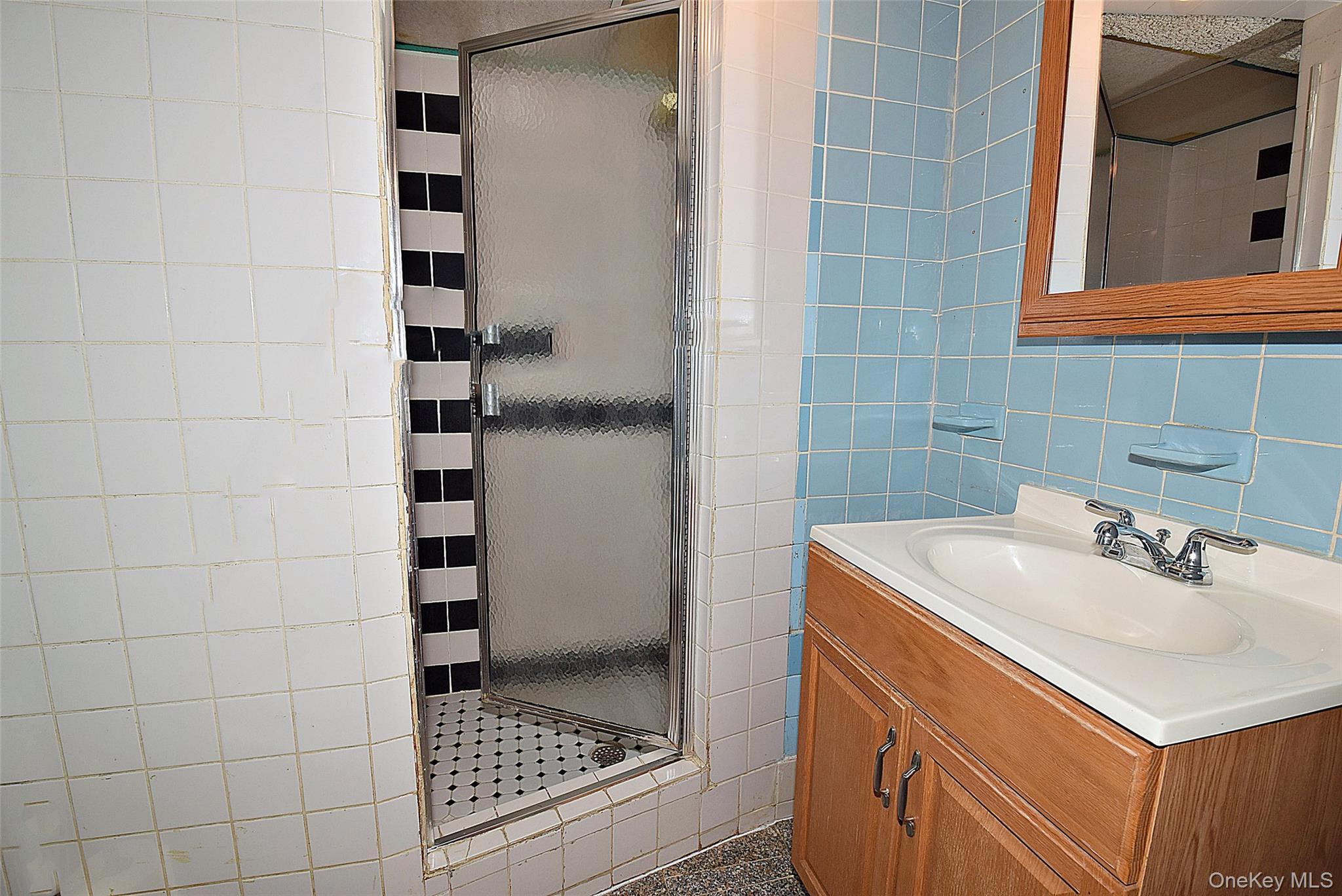 Single Family Bauer Street Nassau County, NY 11003, MLS-1008417-19