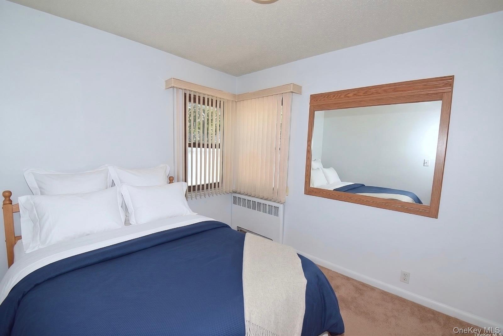 Single Family Bauer Street Nassau County, NY 11003, MLS-1008417-23