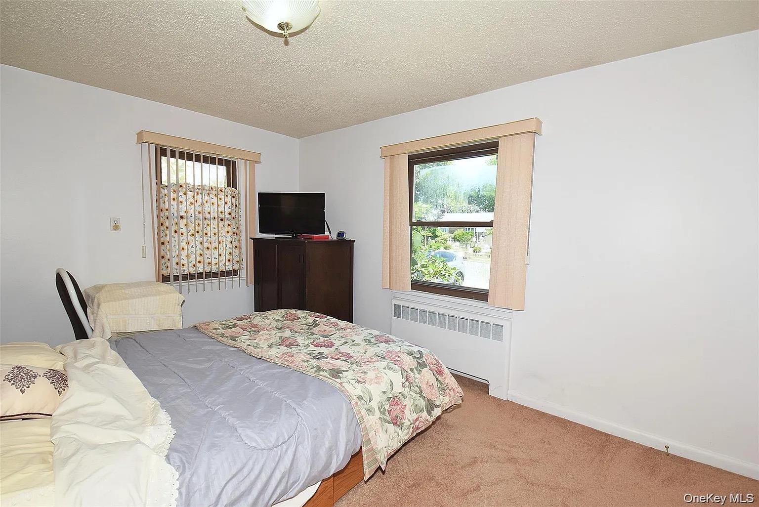 Single Family Bauer Street Nassau County, NY 11003, MLS-1008417-8