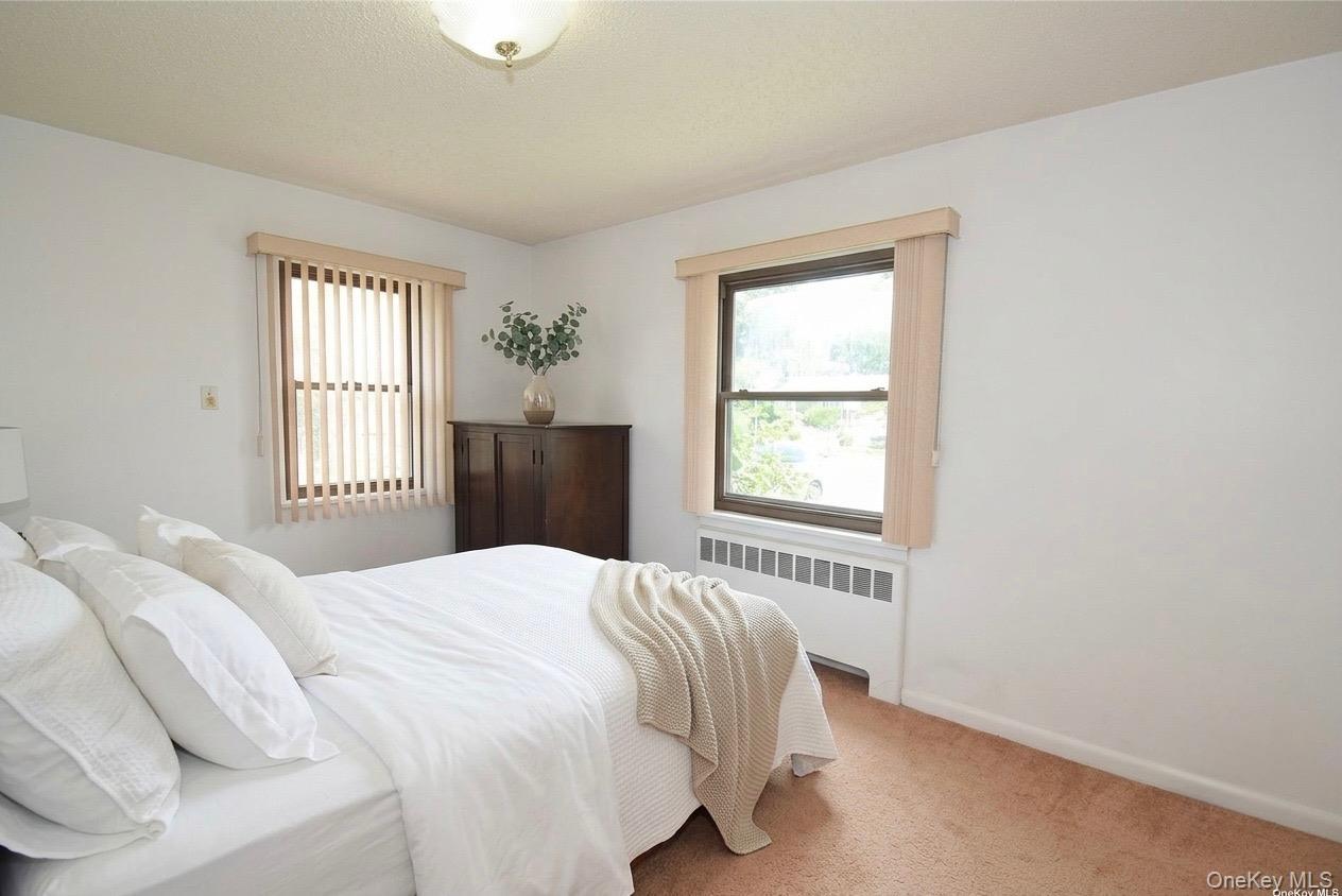 Single Family Bauer Street Nassau County, NY 11003, MLS-1008417-9