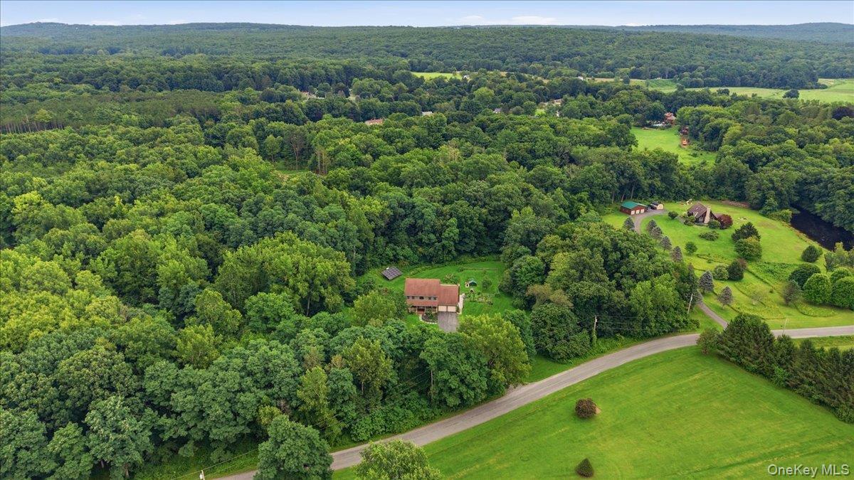 Single Family Red Rock Road Greene County, NY 12413, MLS-1008439-42