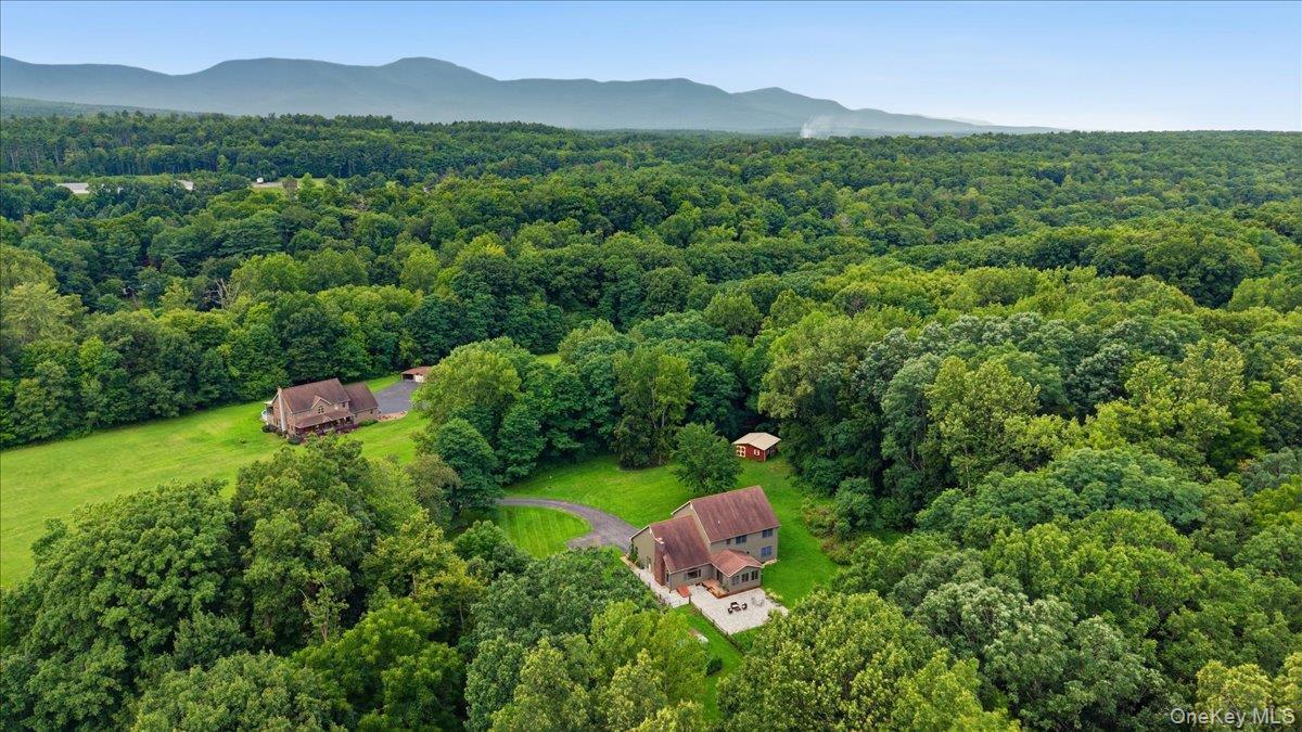Single Family Red Rock Road Greene County, NY 12413, MLS-1008439-43