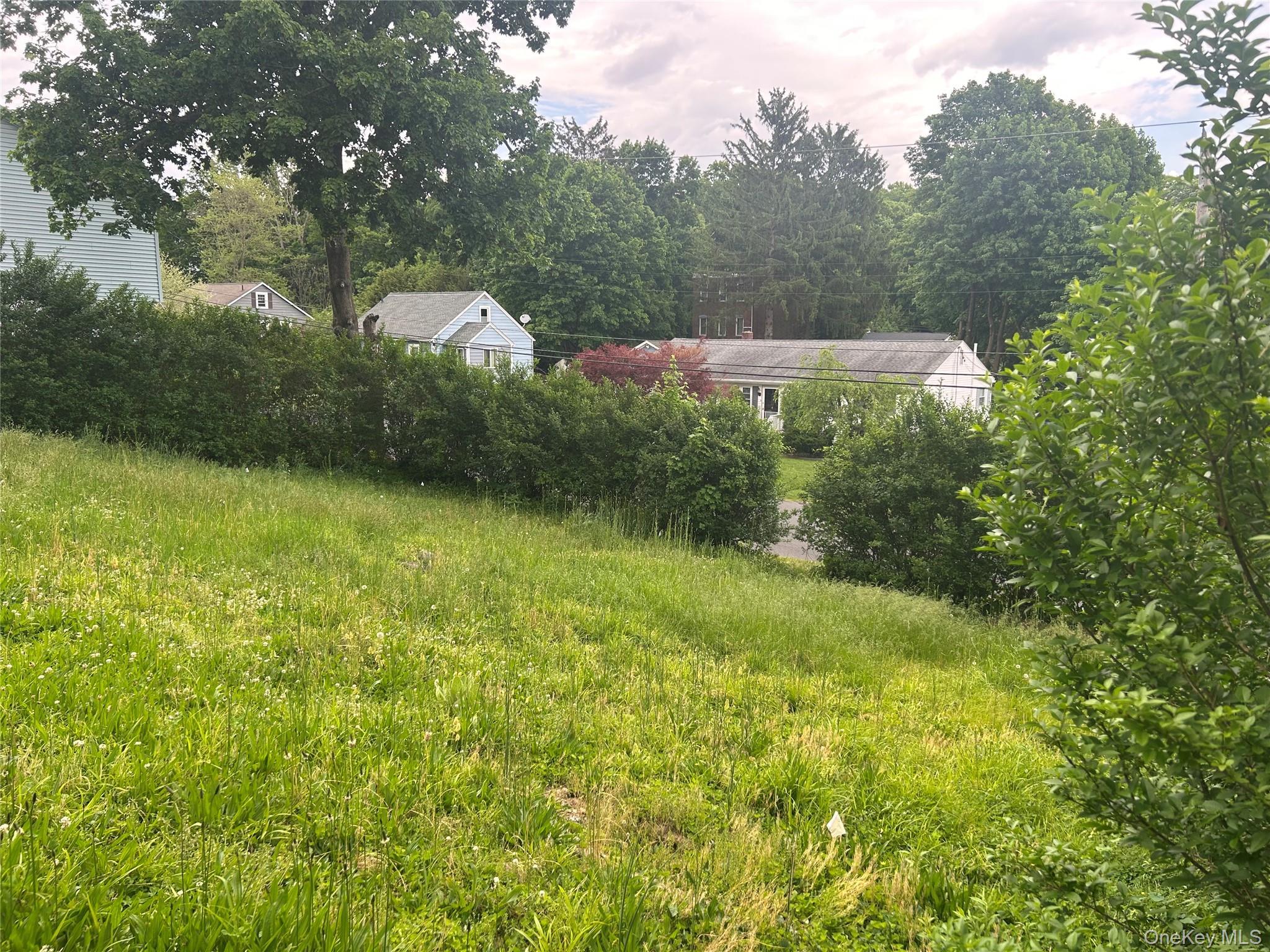 Single Family First Avenue Ulster County, NY 12401, MLS-1008490-11
