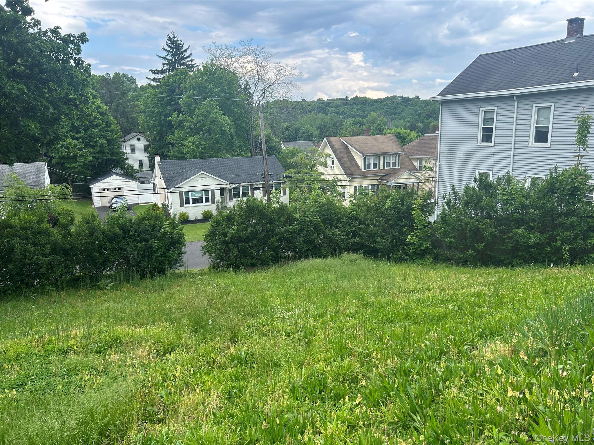 Single Family First Avenue Ulster County, NY 12401, MLS-1008490-8