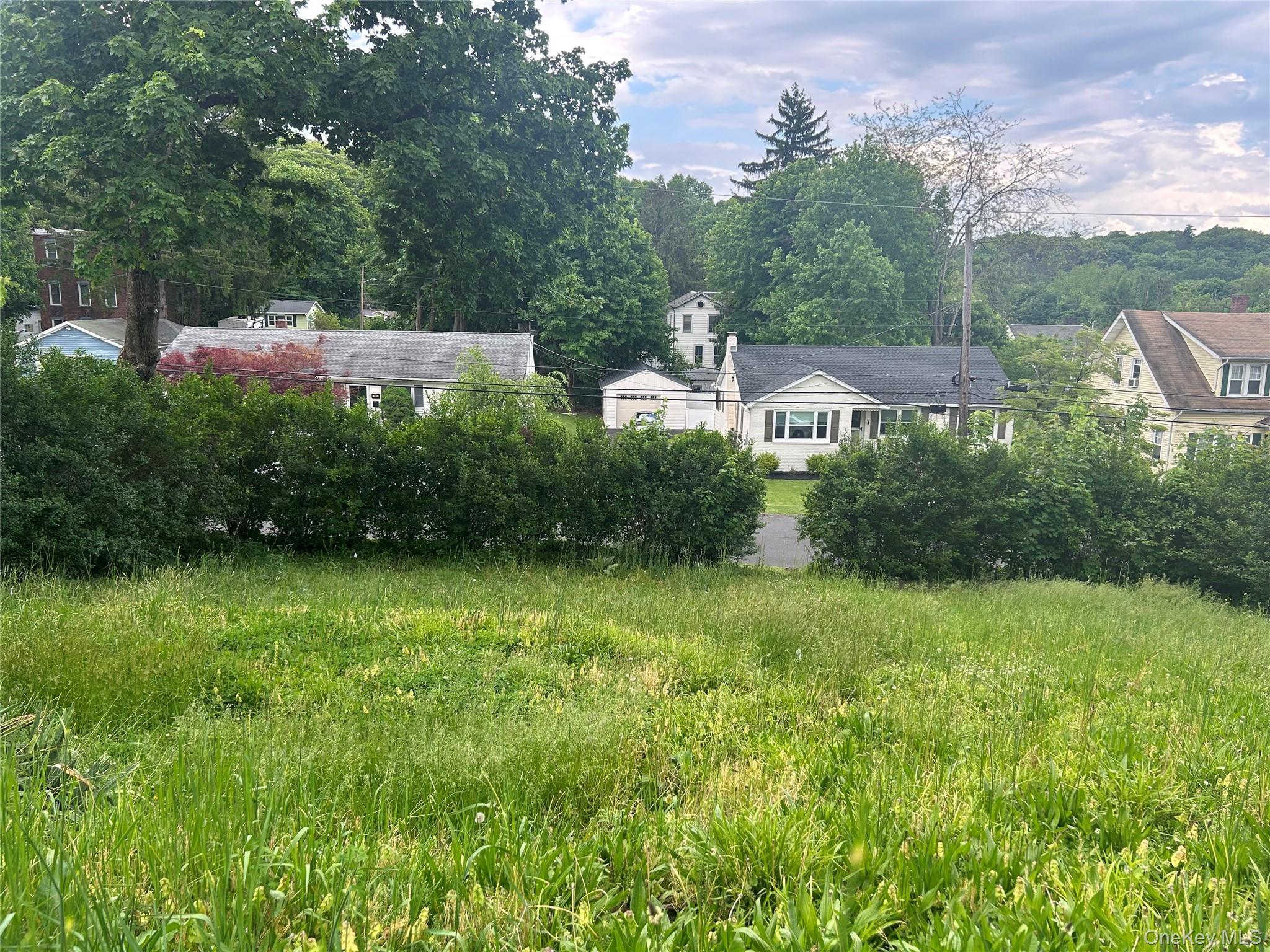 Single Family First Avenue Ulster County, NY 12401, MLS-1008490-9