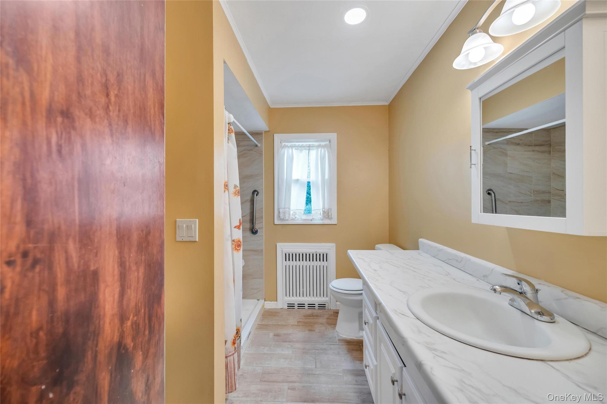 Single Family Johnson Avenue Suffolk County, NY 11782, MLS-1008492-16