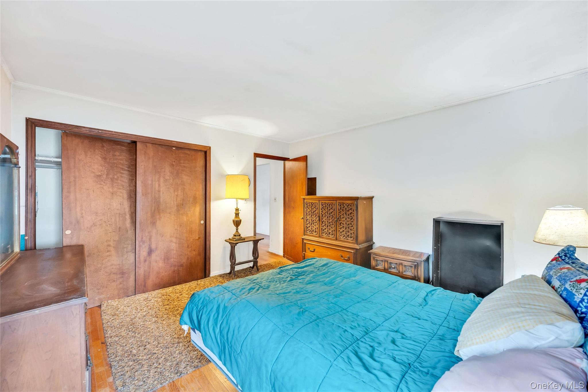 Single Family Johnson Avenue Suffolk County, NY 11782, MLS-1008492-19