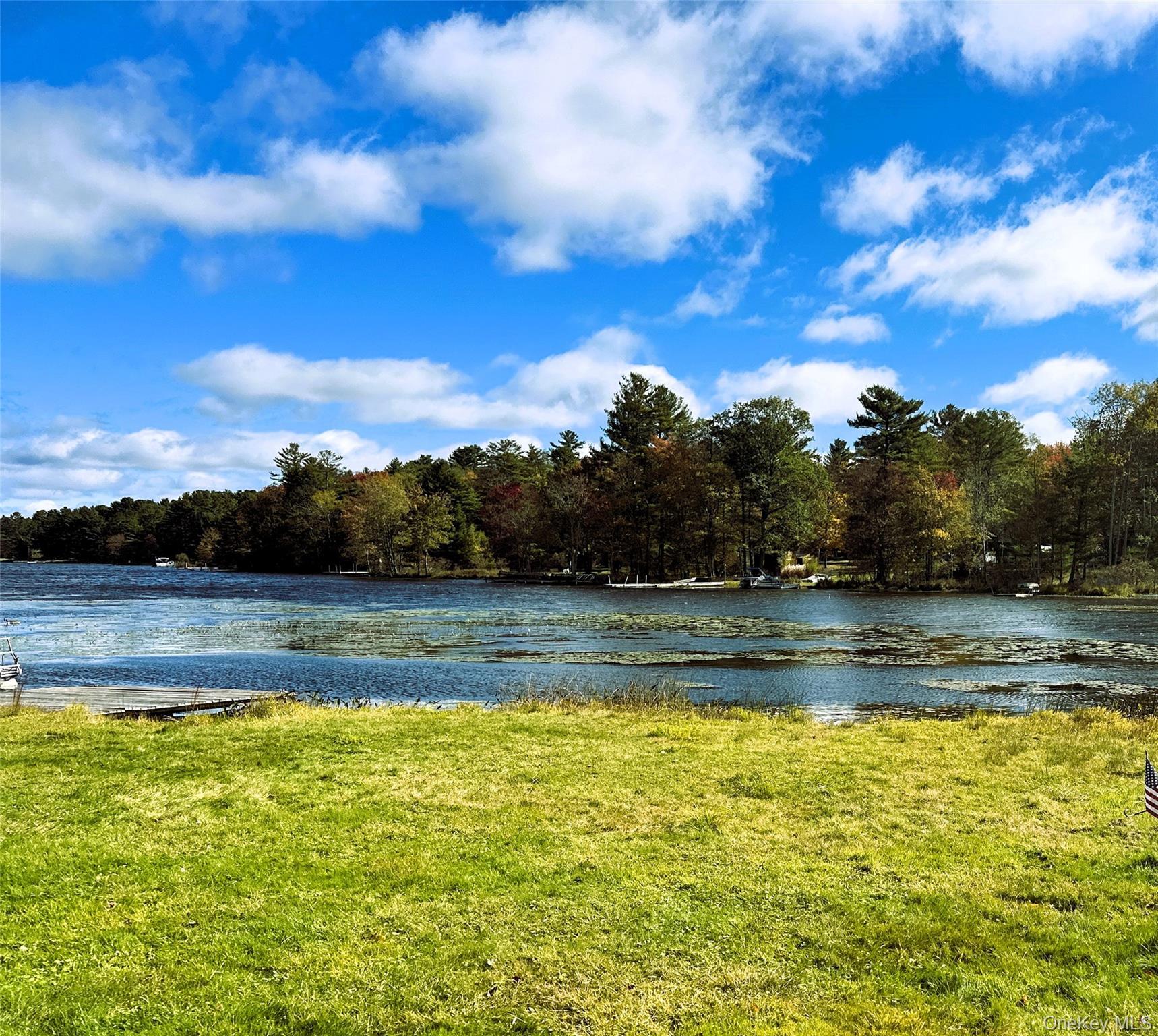 Single Family Delaware  Sullivan County, NY 12737, MLS-1008508-3