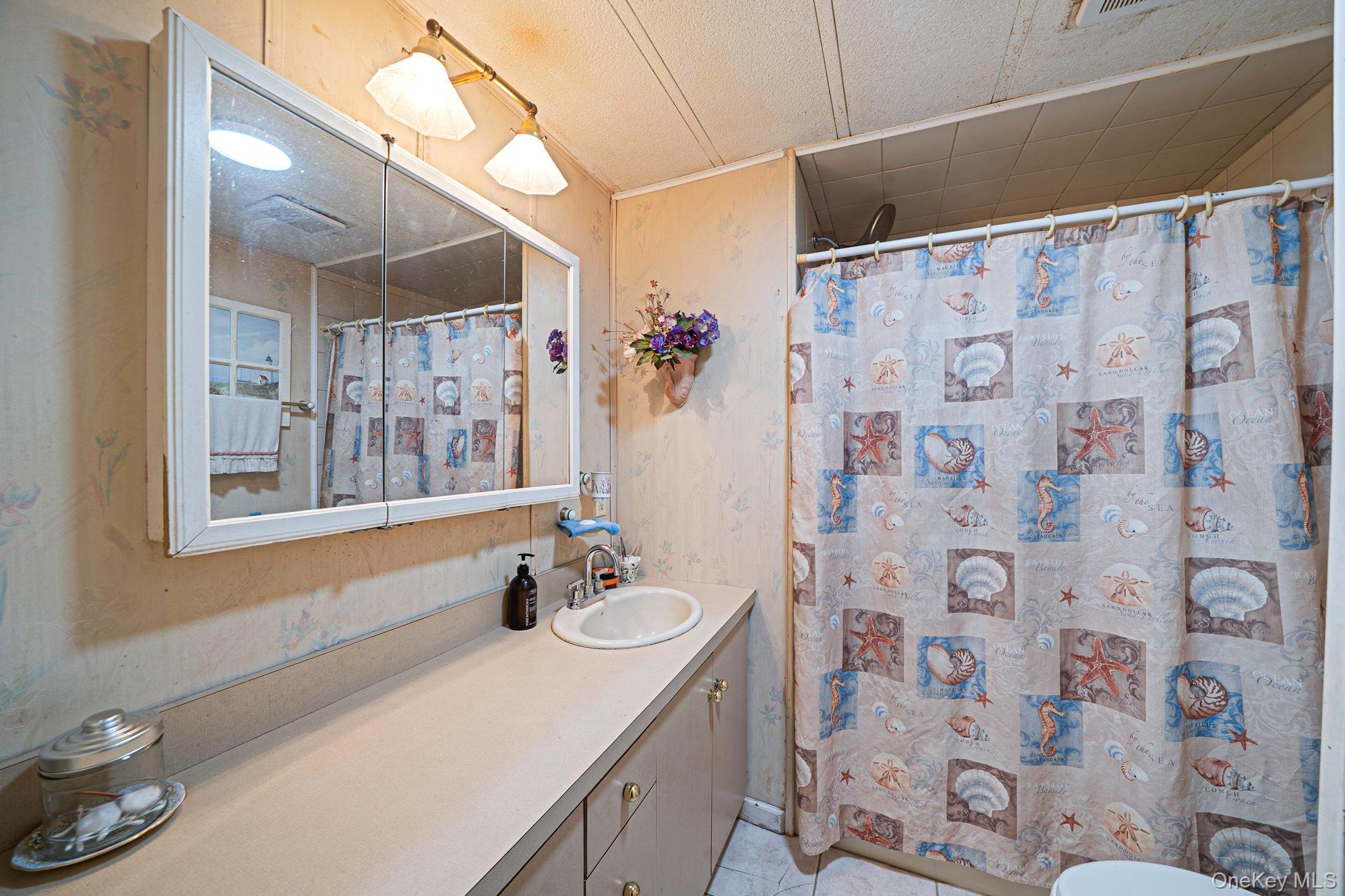 Single Family Buttercup Drive Suffolk County, NY 11716, MLS-1008522-20