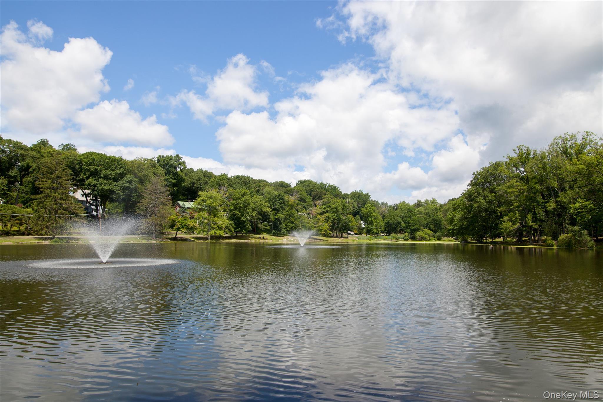 Single Family The Esplanade  Westchester County, NY 10804, MLS-1008607-4