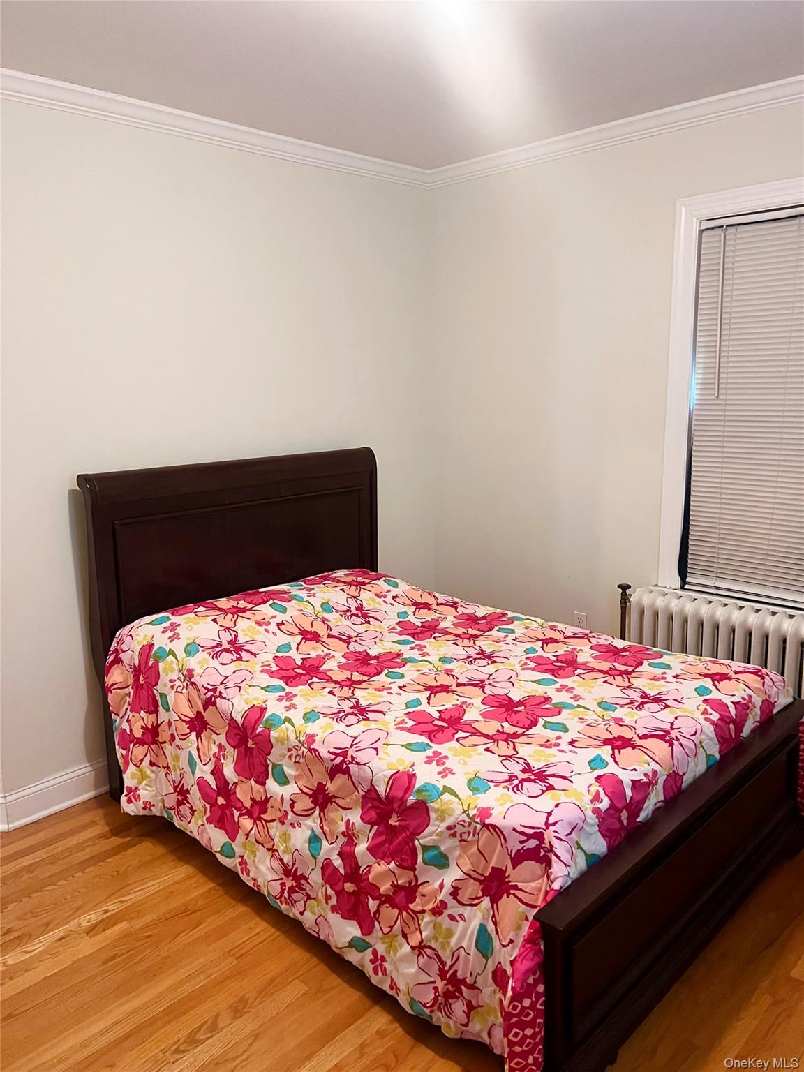Single Family Treno Street Westchester County, NY 10801, MLS-1008616-15