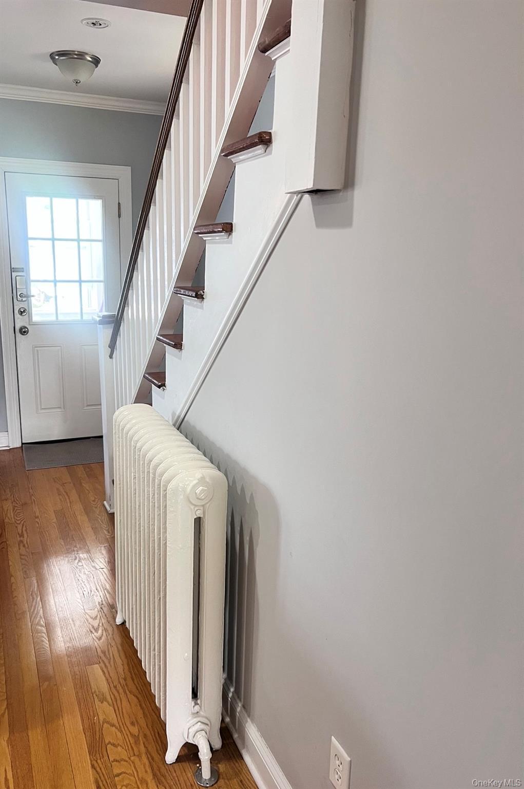 Single Family Treno Street Westchester County, NY 10801, MLS-1008616-19