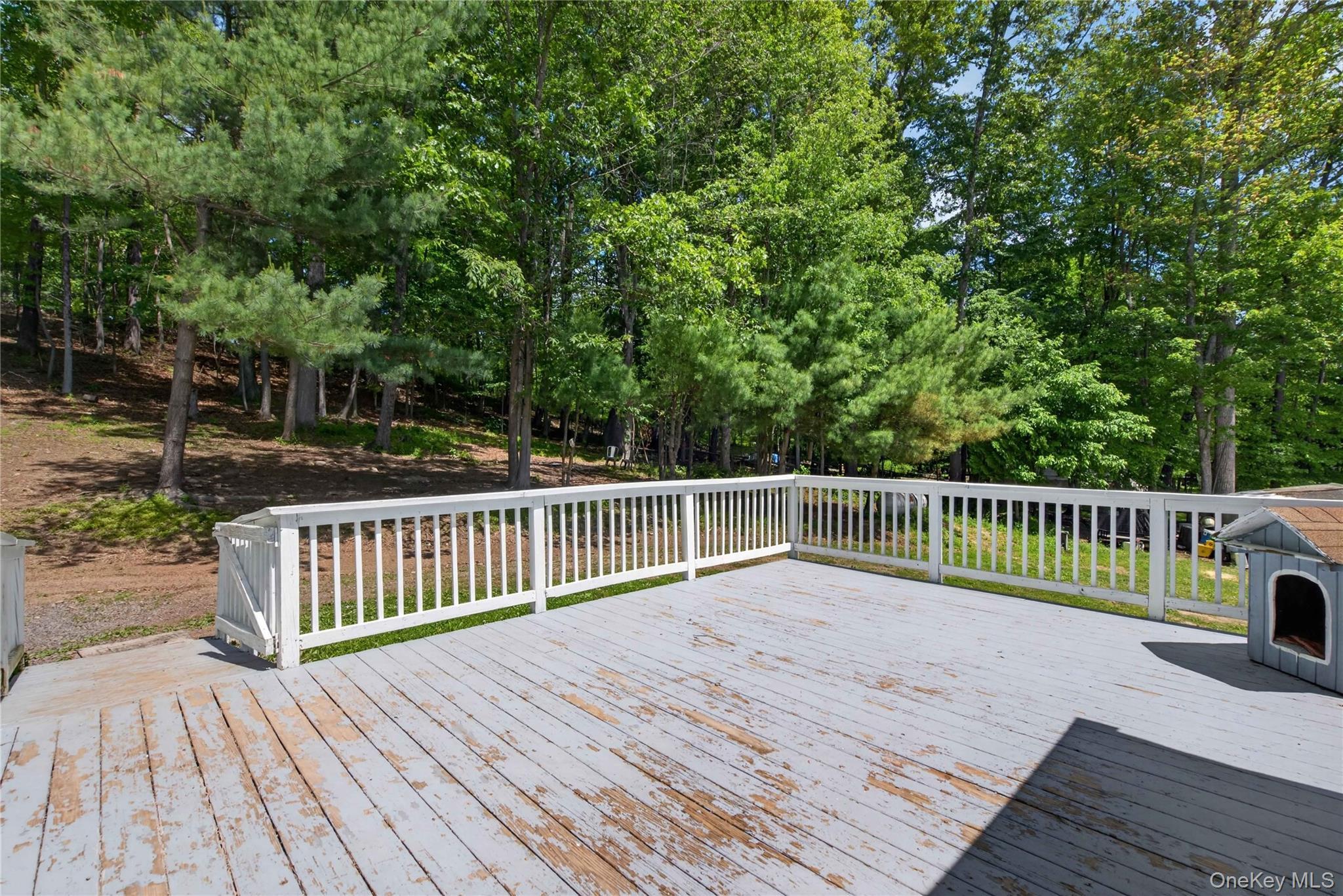 Single Family Patrick Drive Sullivan County, NY 12721, MLS-1008649-36