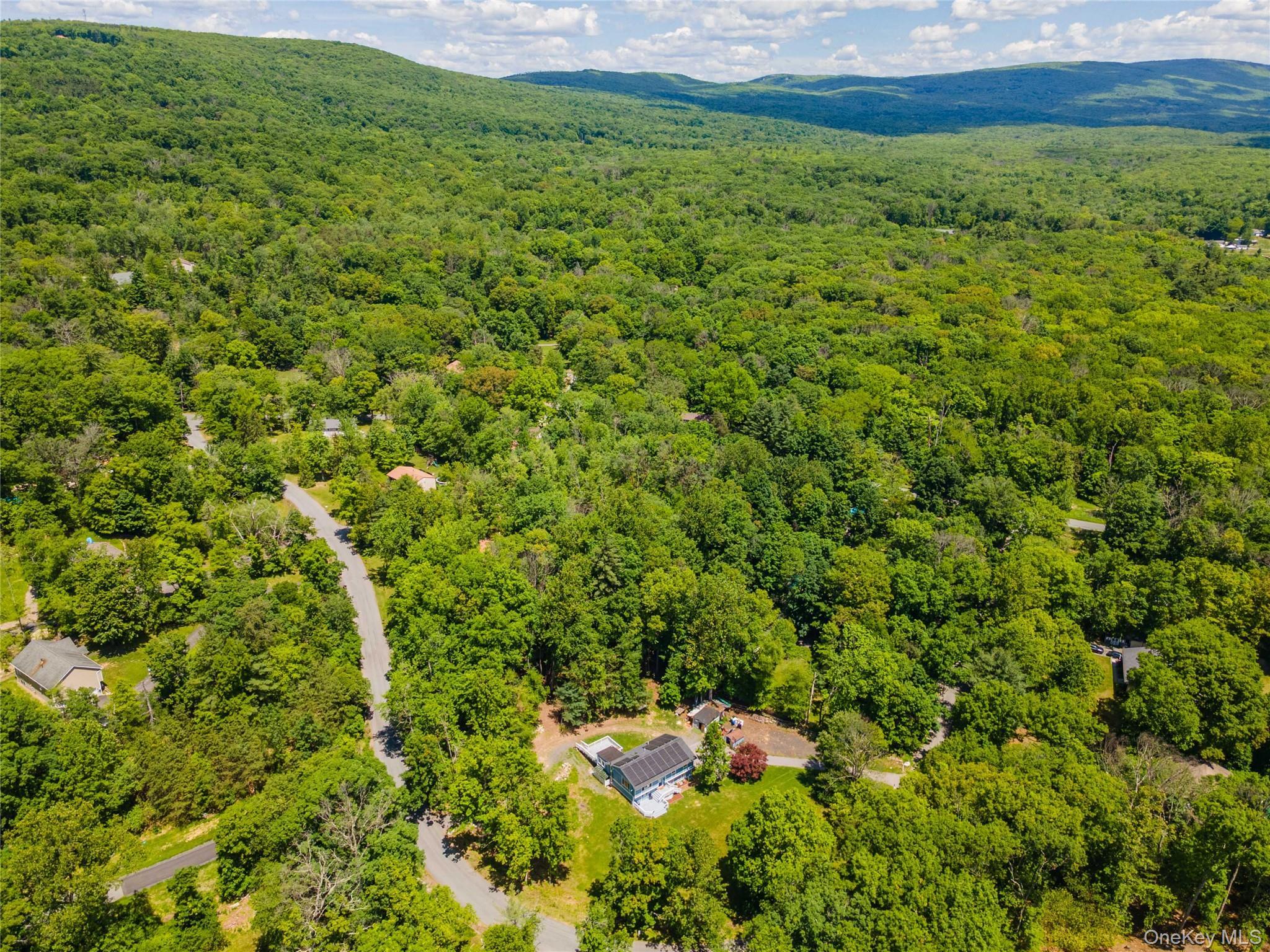 Single Family Patrick Drive Sullivan County, NY 12721, MLS-1008649-43