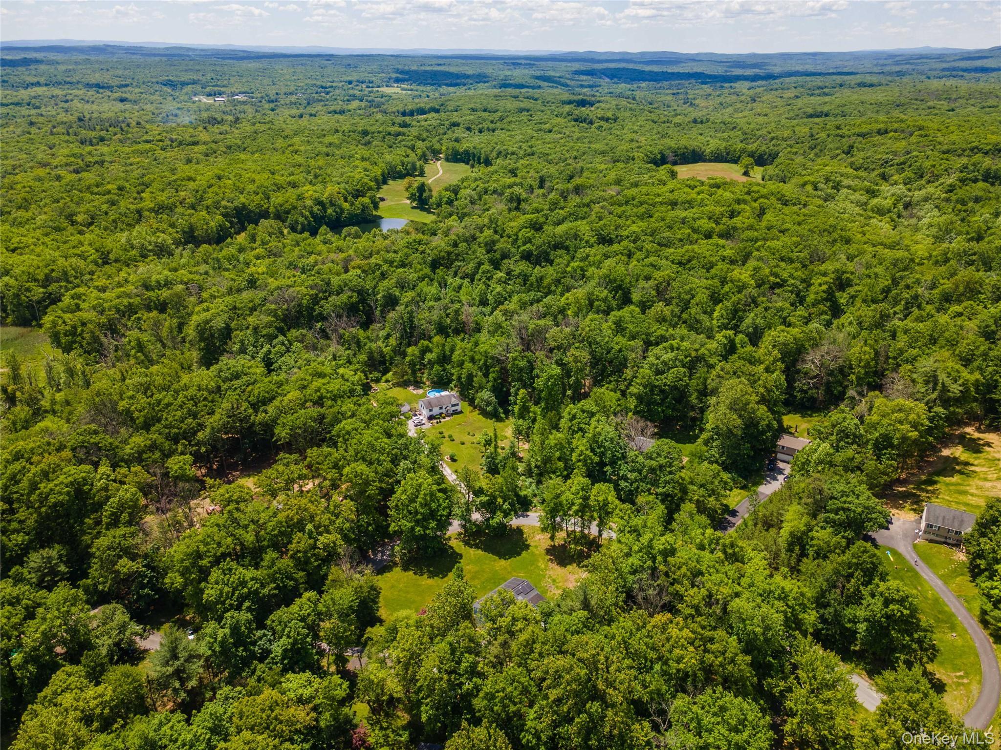Single Family Patrick Drive Sullivan County, NY 12721, MLS-1008649-47