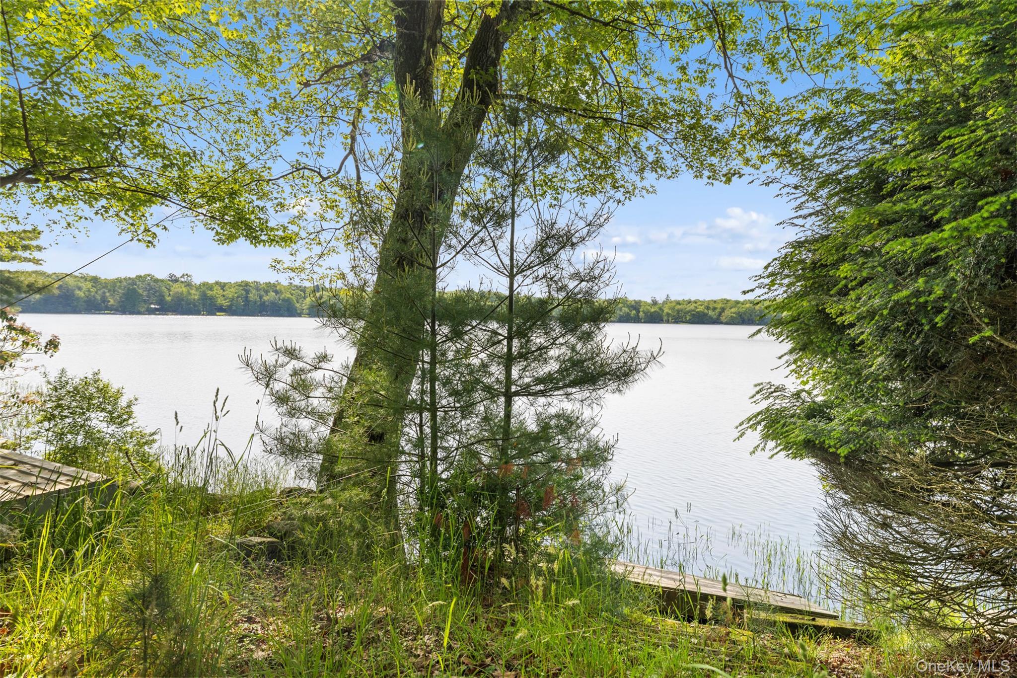 Single Family Fairway Drive Sullivan County, NY 12743, MLS-1008663-38