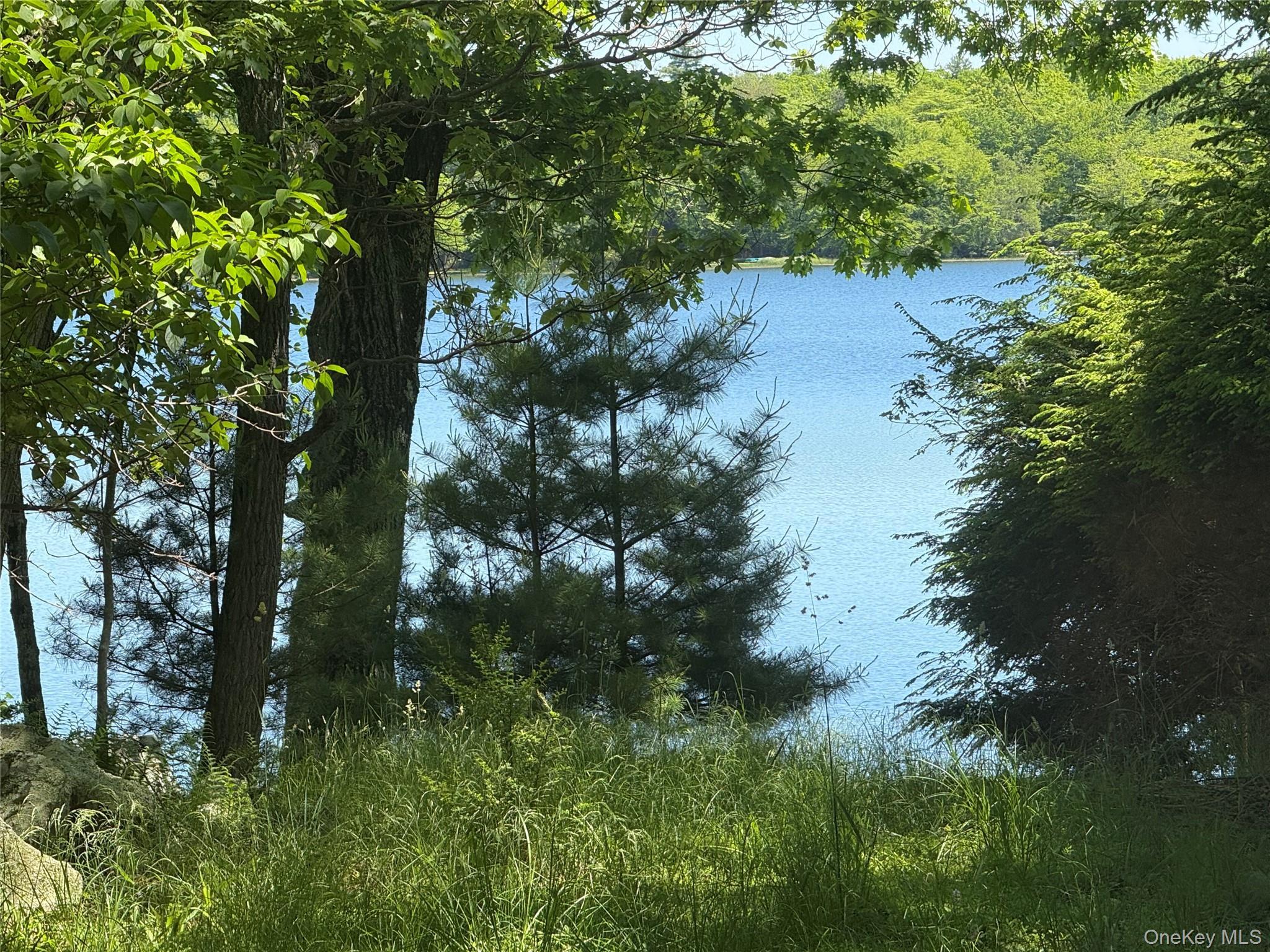 Single Family Fairway Drive Sullivan County, NY 12743, MLS-1008663-41