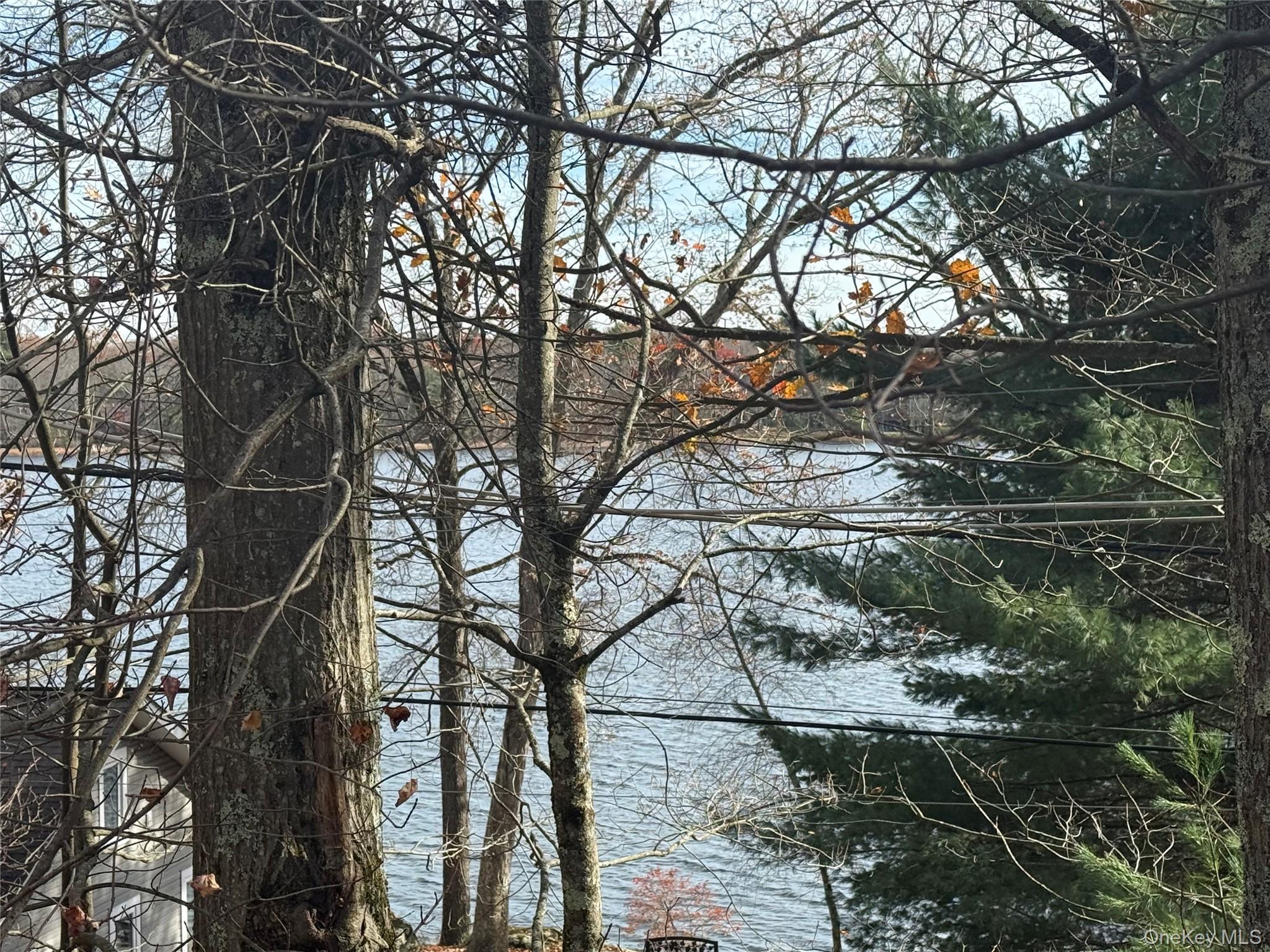 Single Family Fairway Drive Sullivan County, NY 12743, MLS-1008663-8
