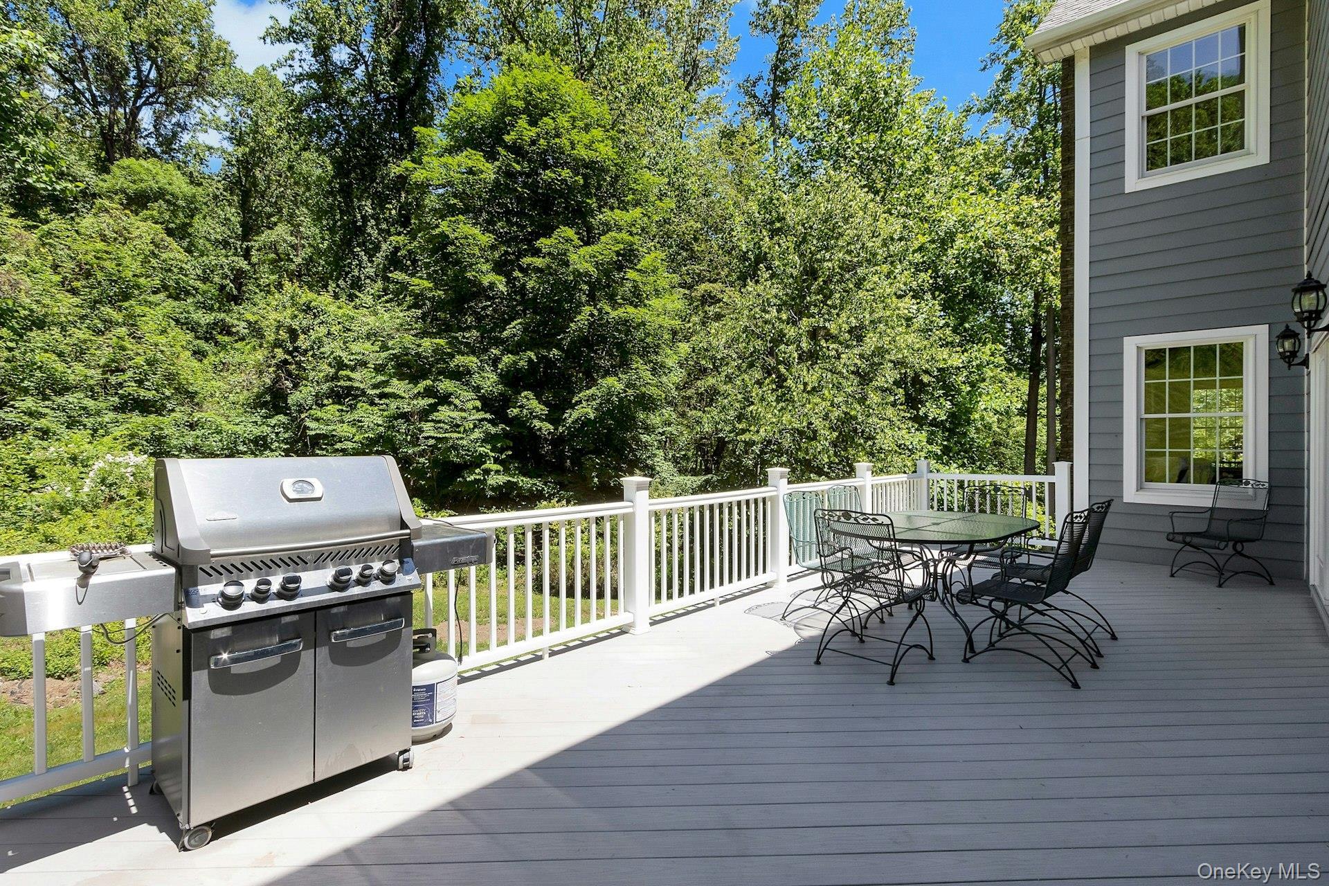 Single Family Badi Drive  Rockland County, NY 10960, MLS-1008750-17