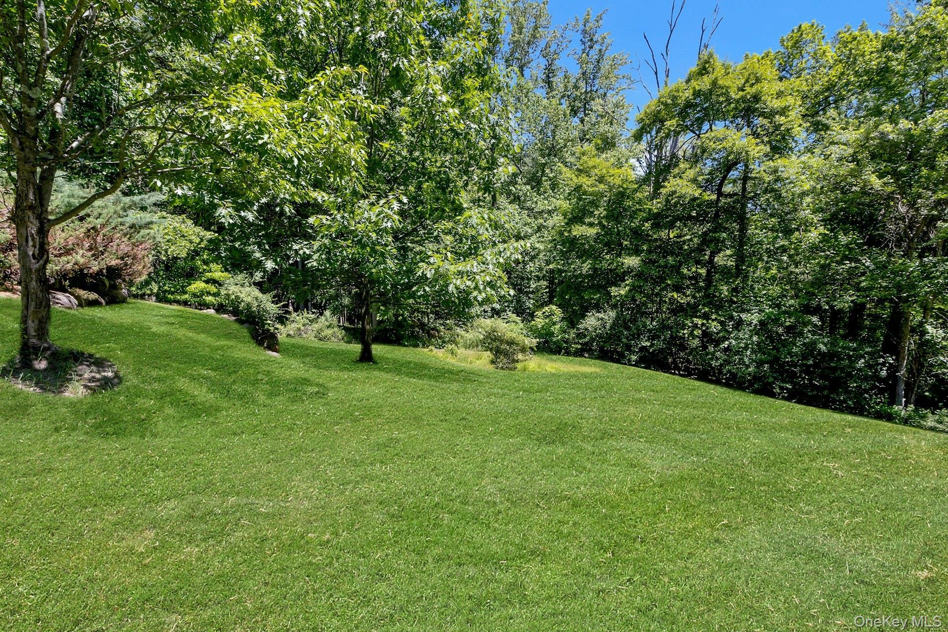 Single Family Badi Drive  Rockland County, NY 10960, MLS-1008750-43