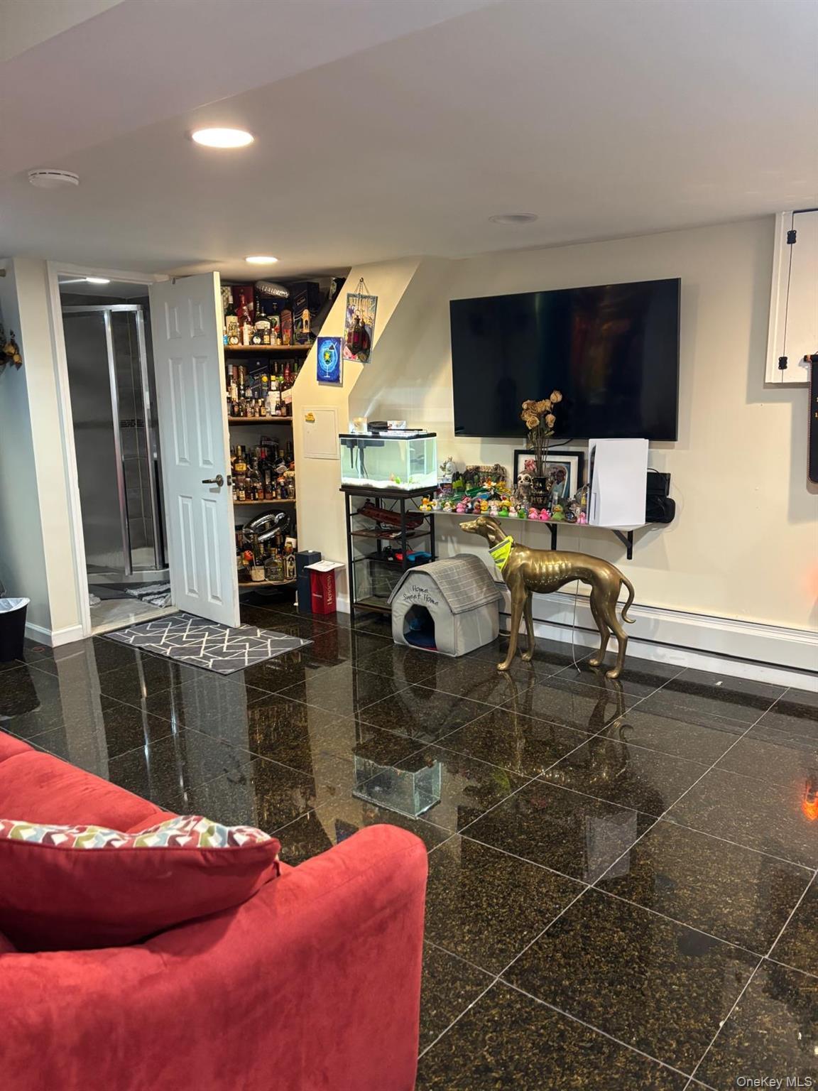 Single Family 139th Street Queens, NY 11435, MLS-1008768-17