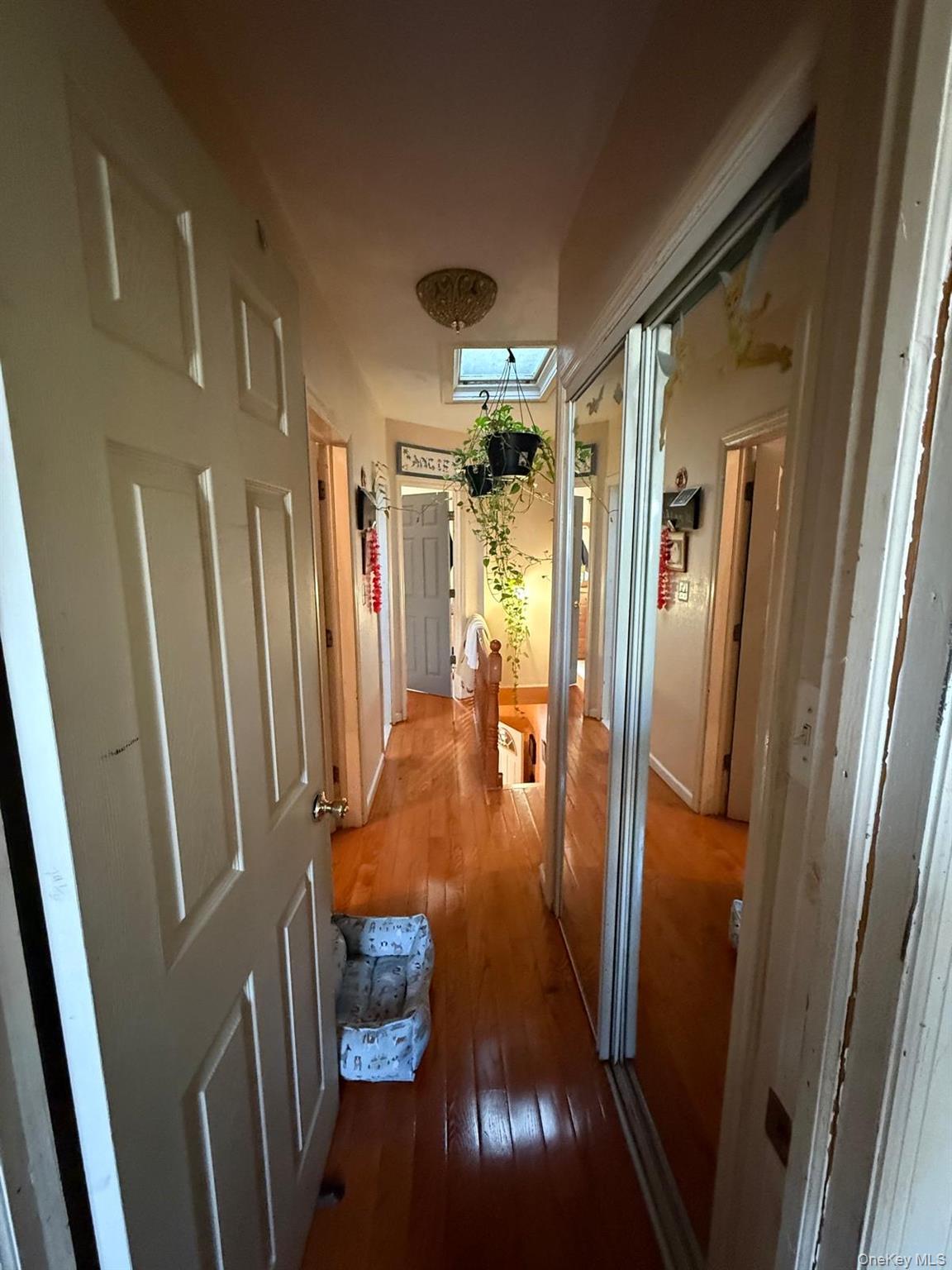 Single Family 139th Street Queens, NY 11435, MLS-1008768-8