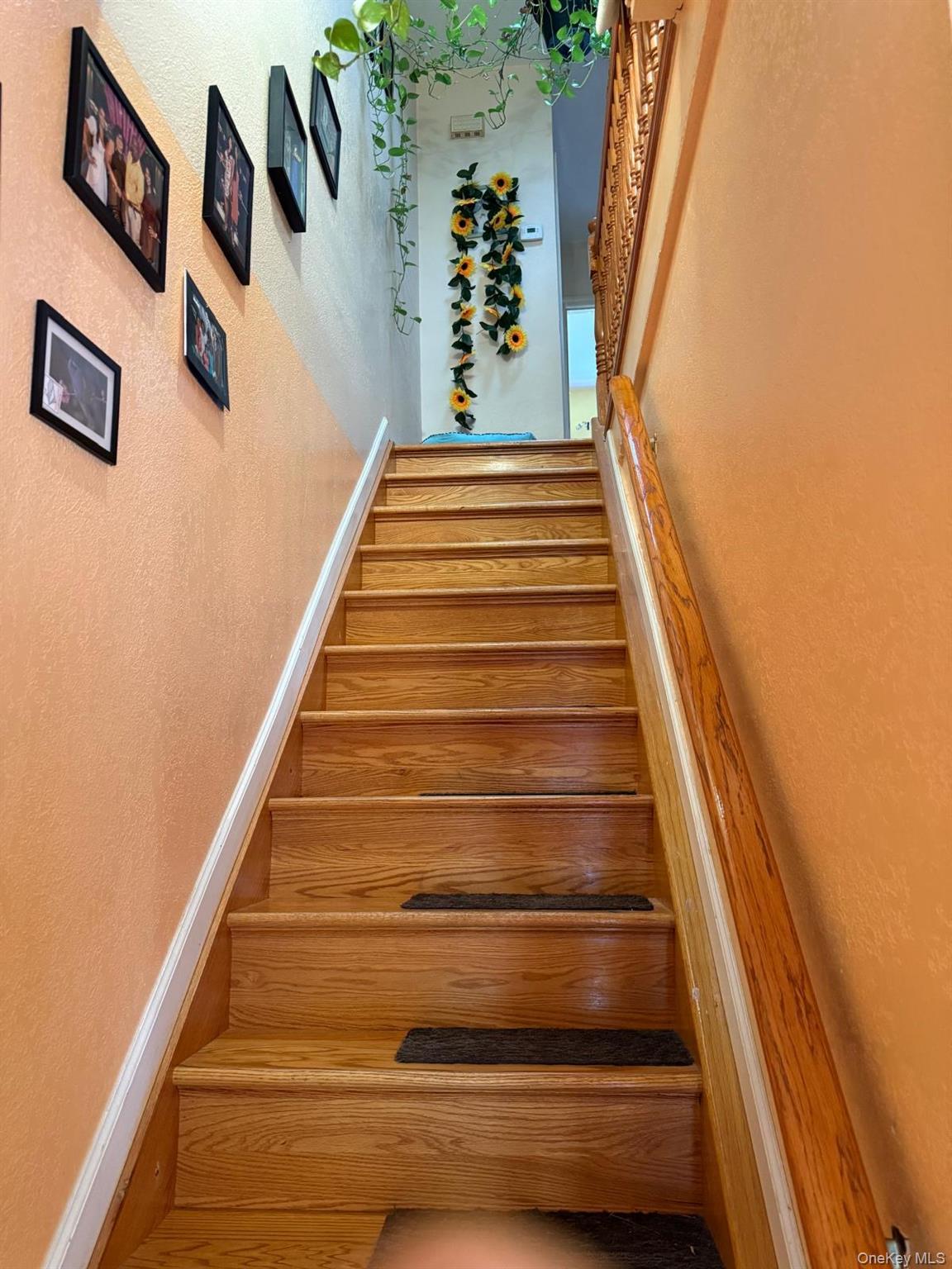 Single Family 139th Street Queens, NY 11435, MLS-1008768-9