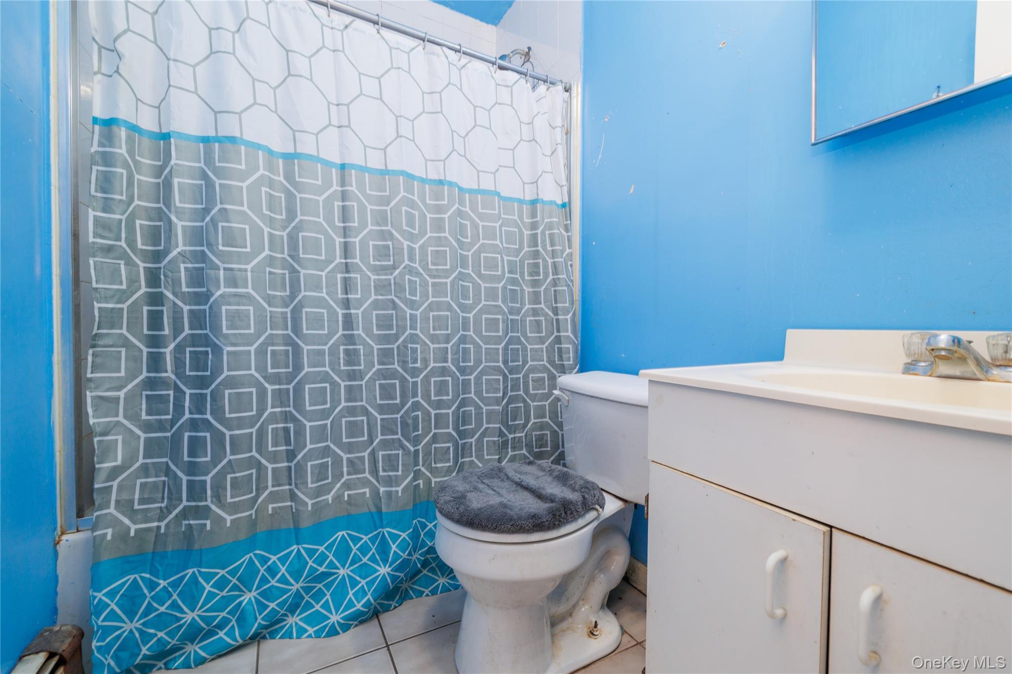 Single Family 124th Queens, NY 11356, MLS-1008863-10