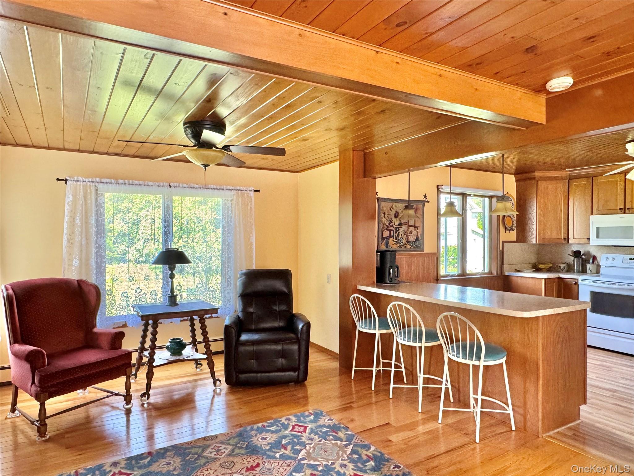 Single Family W Main Street Greene County, NY 12414, MLS-1008896-10