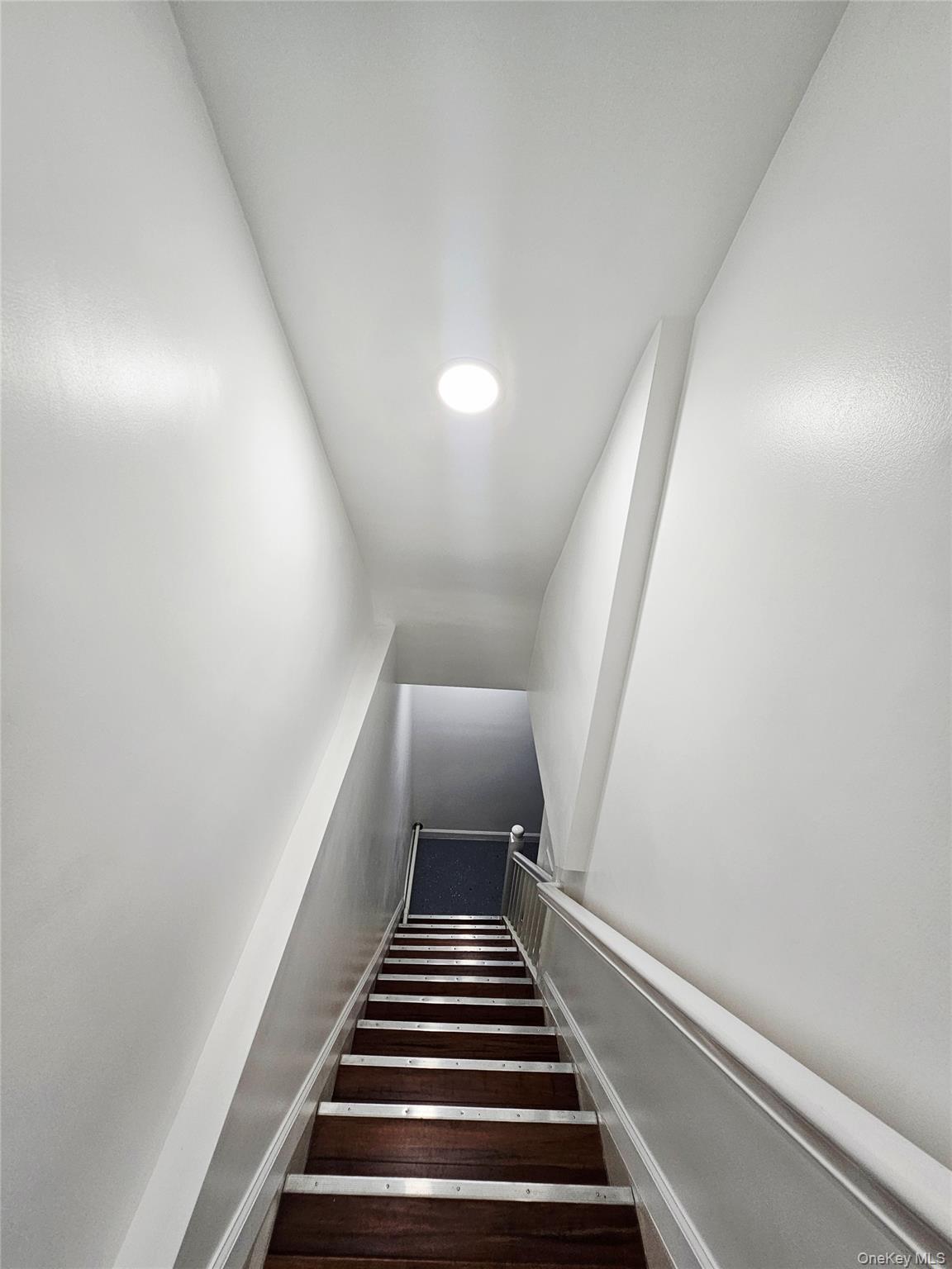Single Family 43rd Brooklyn, NY 11203, MLS-1008942-21