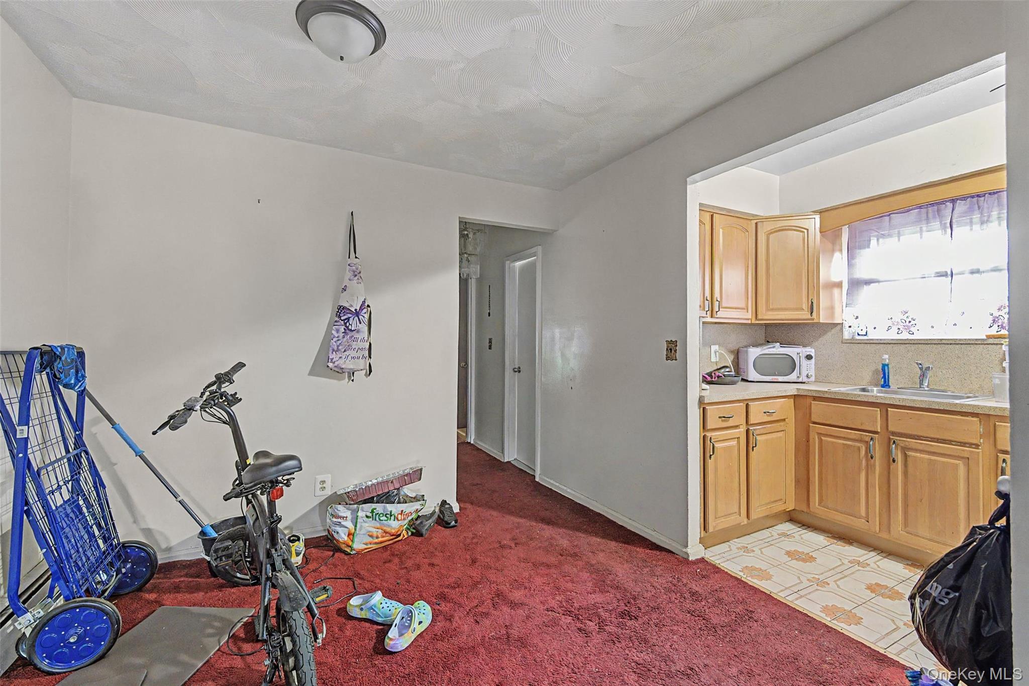 Single Family E 233rd Street Bronx, NY 10466, MLS-1008956-10