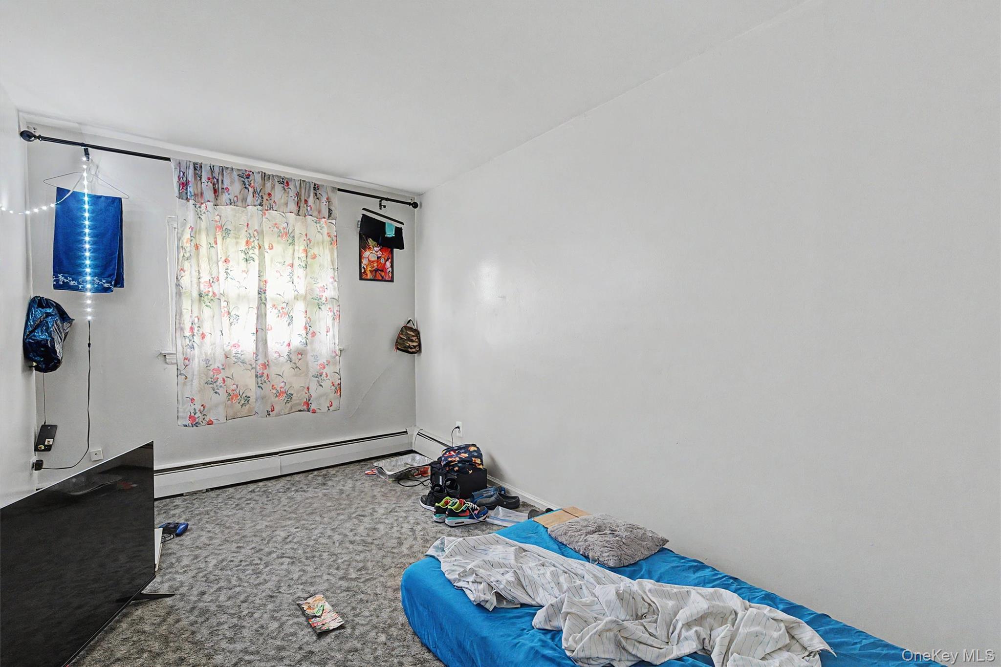 Single Family E 233rd Street Bronx, NY 10466, MLS-1008956-17