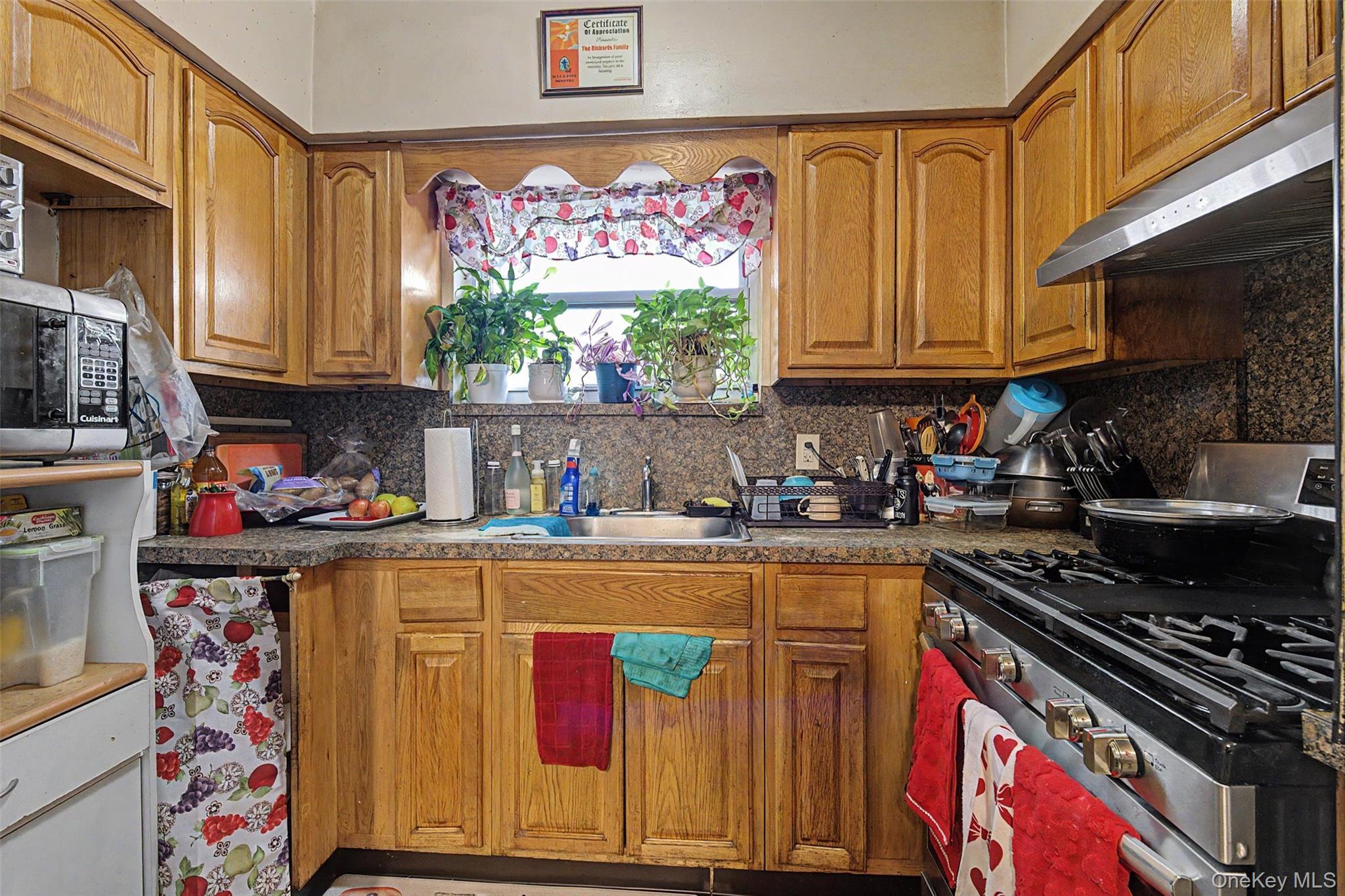 Single Family E 233rd Street Bronx, NY 10466, MLS-1008956-20