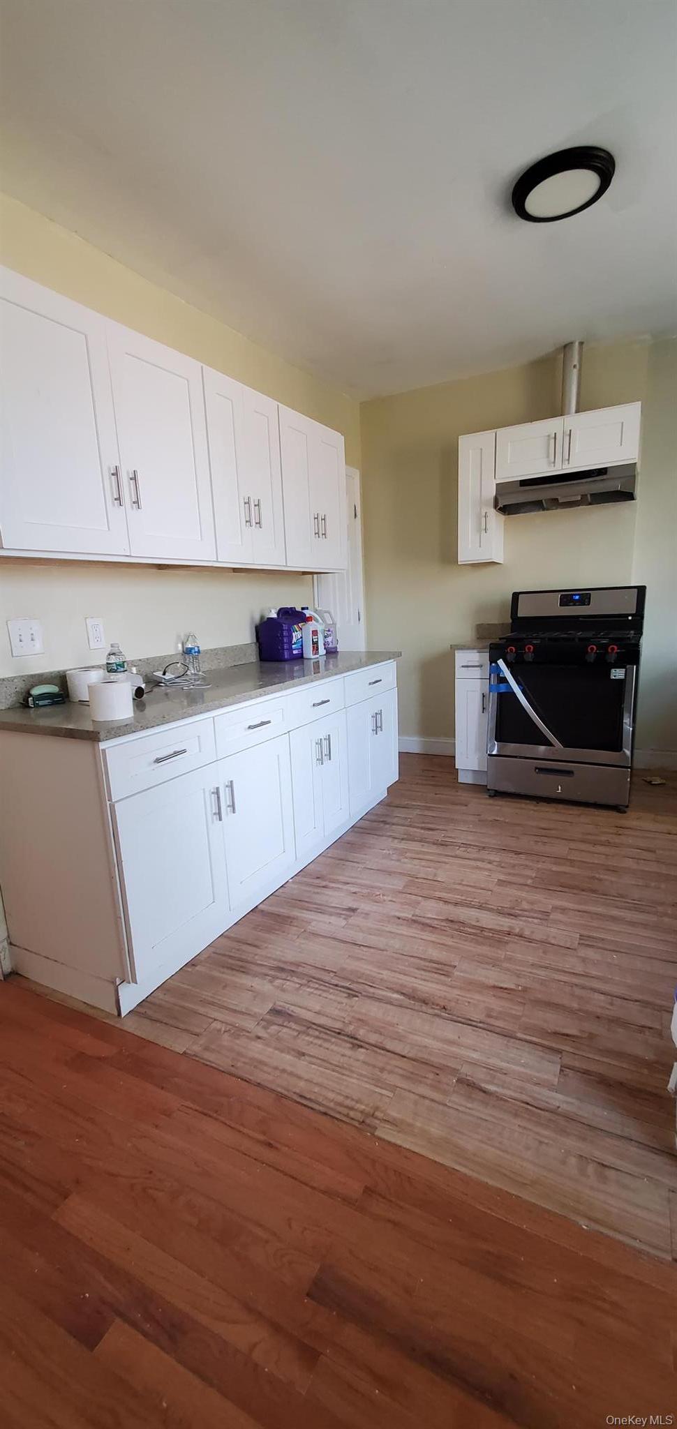 Single Family Lander Street  Orange County, NY 12550, MLS-1009001-11
