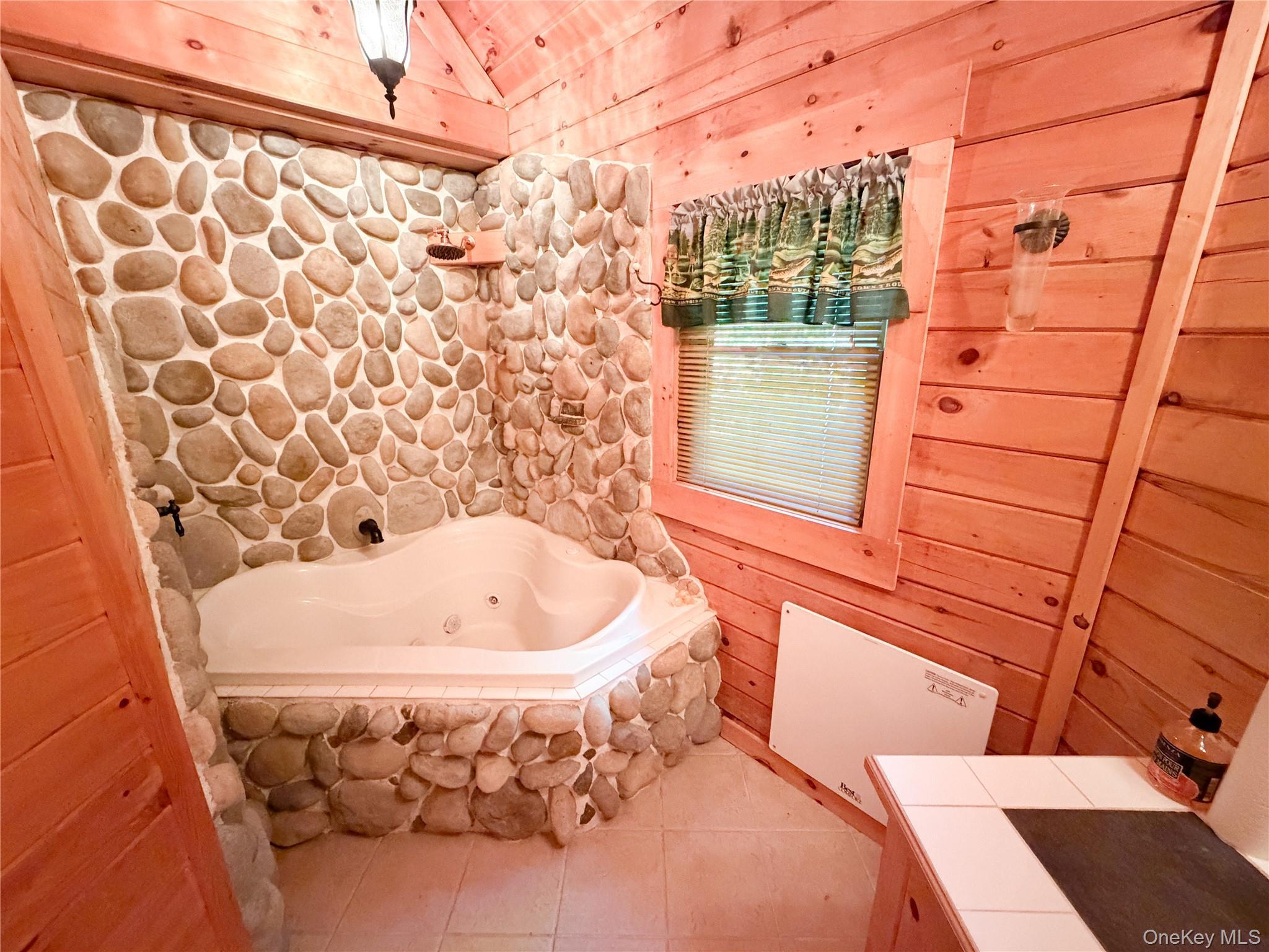 Single Family Emerald Lake Delaware County, NY 13752, MLS-1009033-12