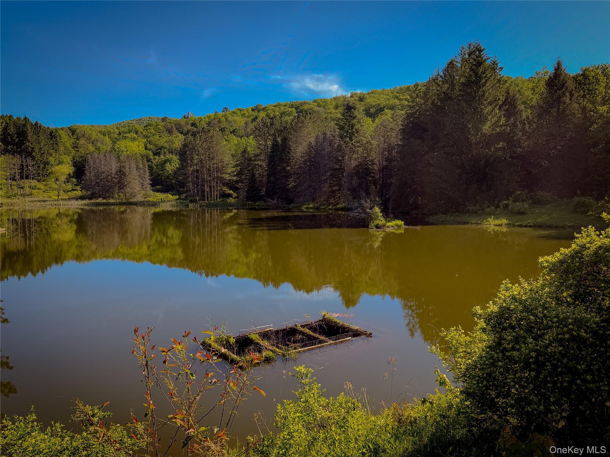 Single Family Emerald Lake Delaware County, NY 13752, MLS-1009033-16