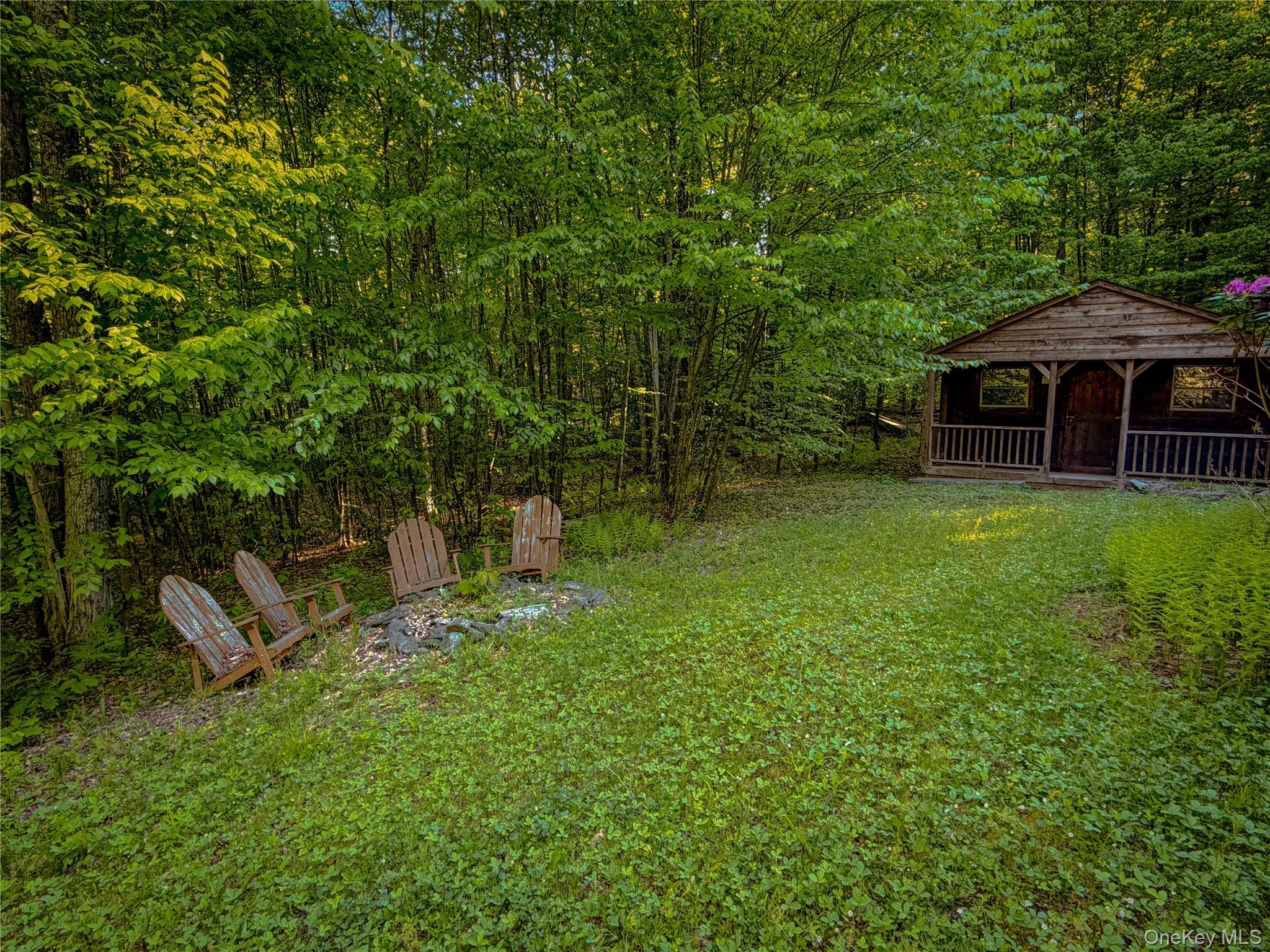 Single Family Emerald Lake Delaware County, NY 13752, MLS-1009033-17
