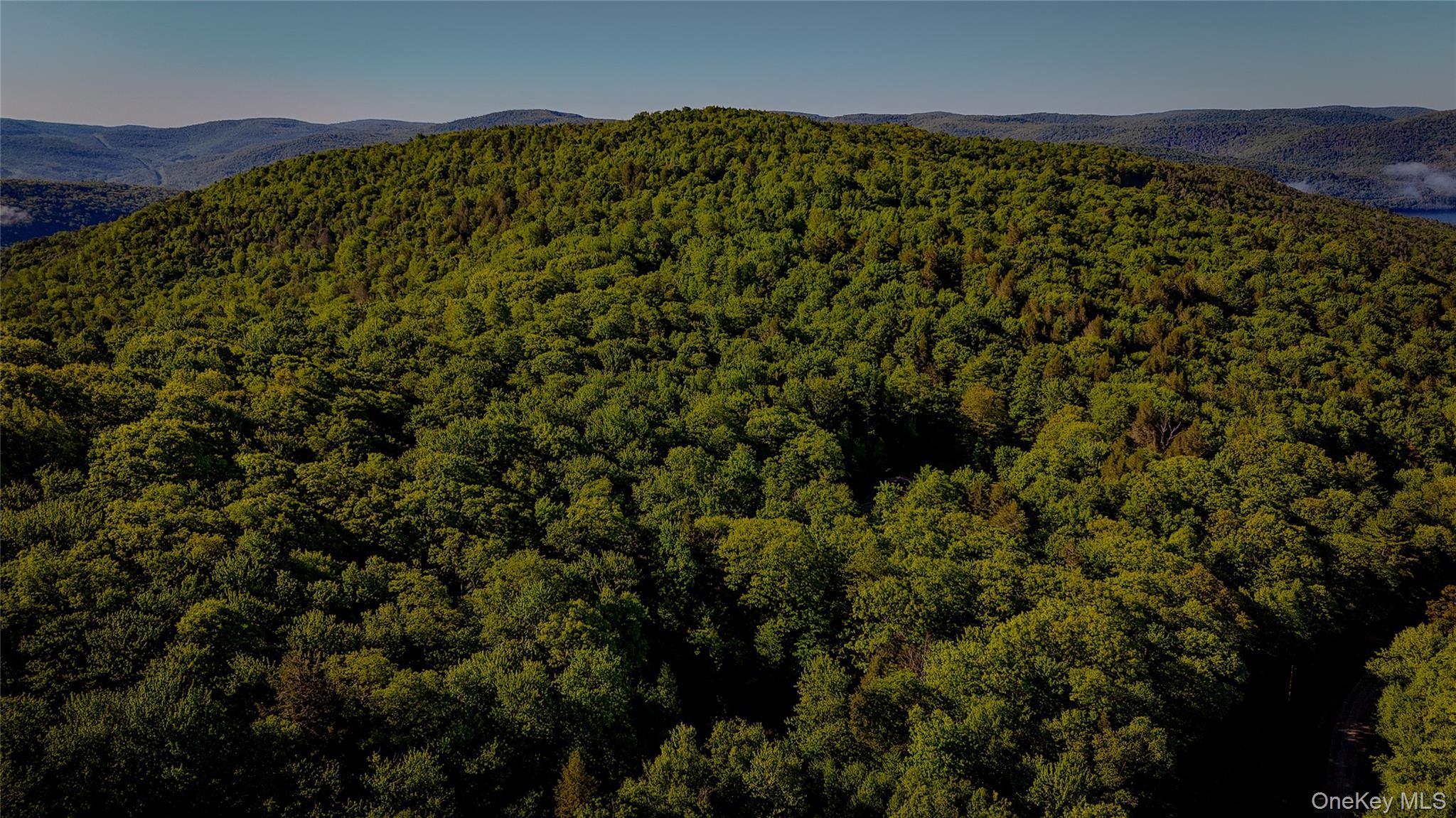 Single Family Emerald Lake Delaware County, NY 13752, MLS-1009033-2