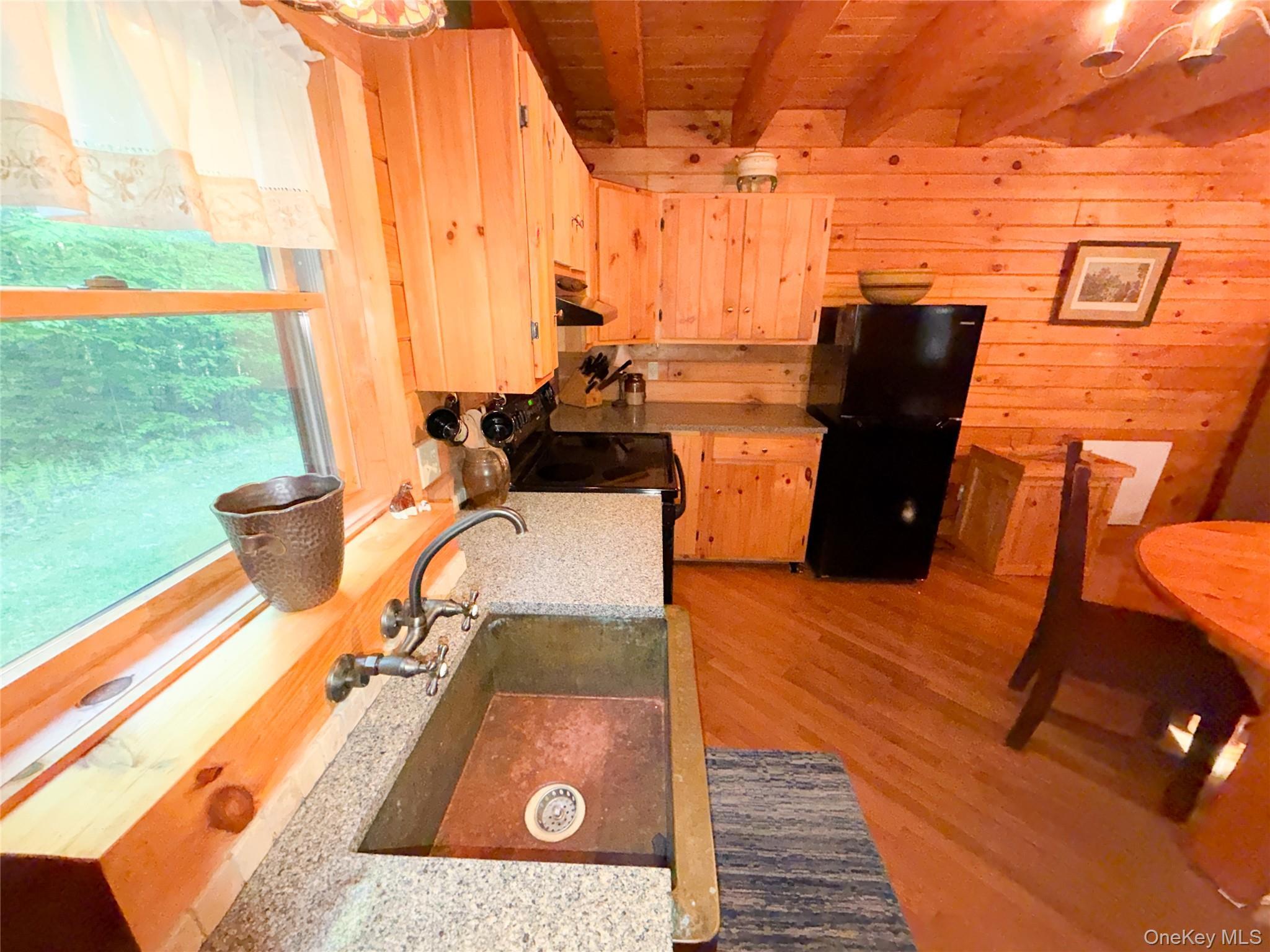 Single Family Emerald Lake Delaware County, NY 13752, MLS-1009033-6