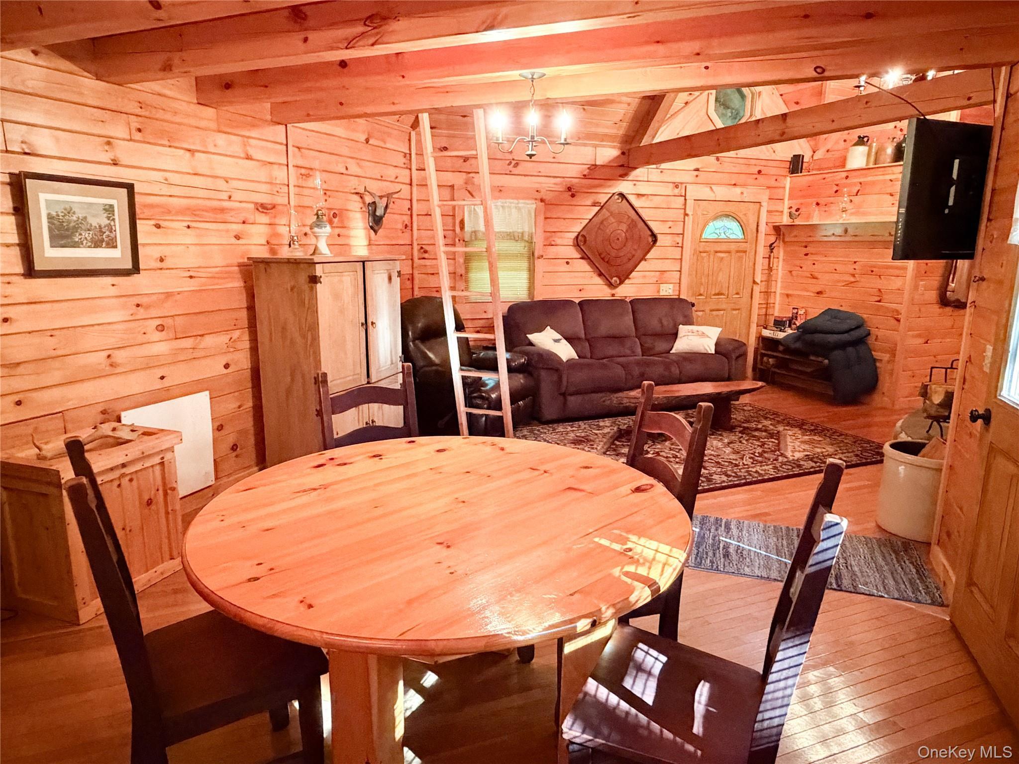 Single Family Emerald Lake Delaware County, NY 13752, MLS-1009033-7
