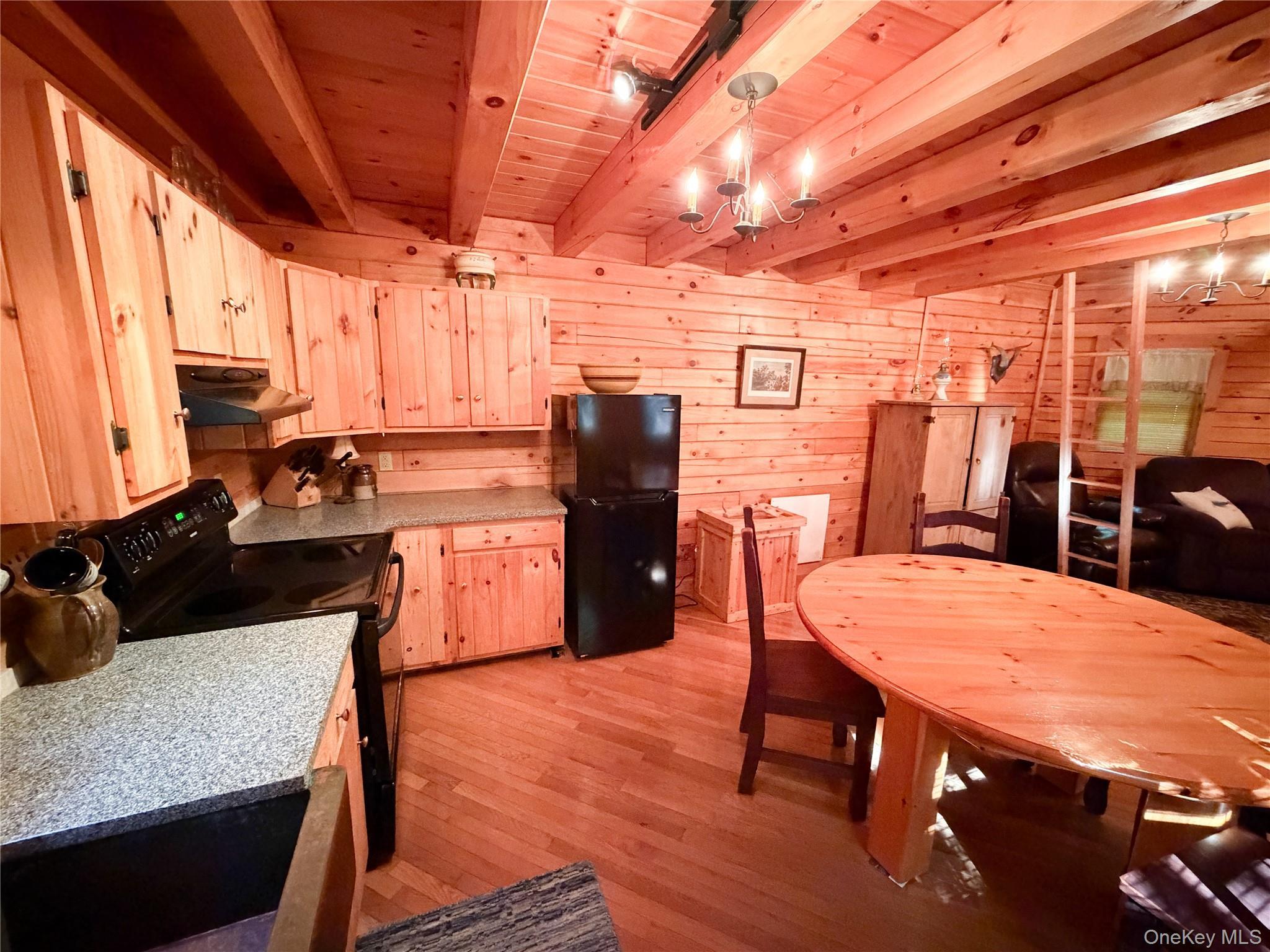 Single Family Emerald Lake Delaware County, NY 13752, MLS-1009033-8