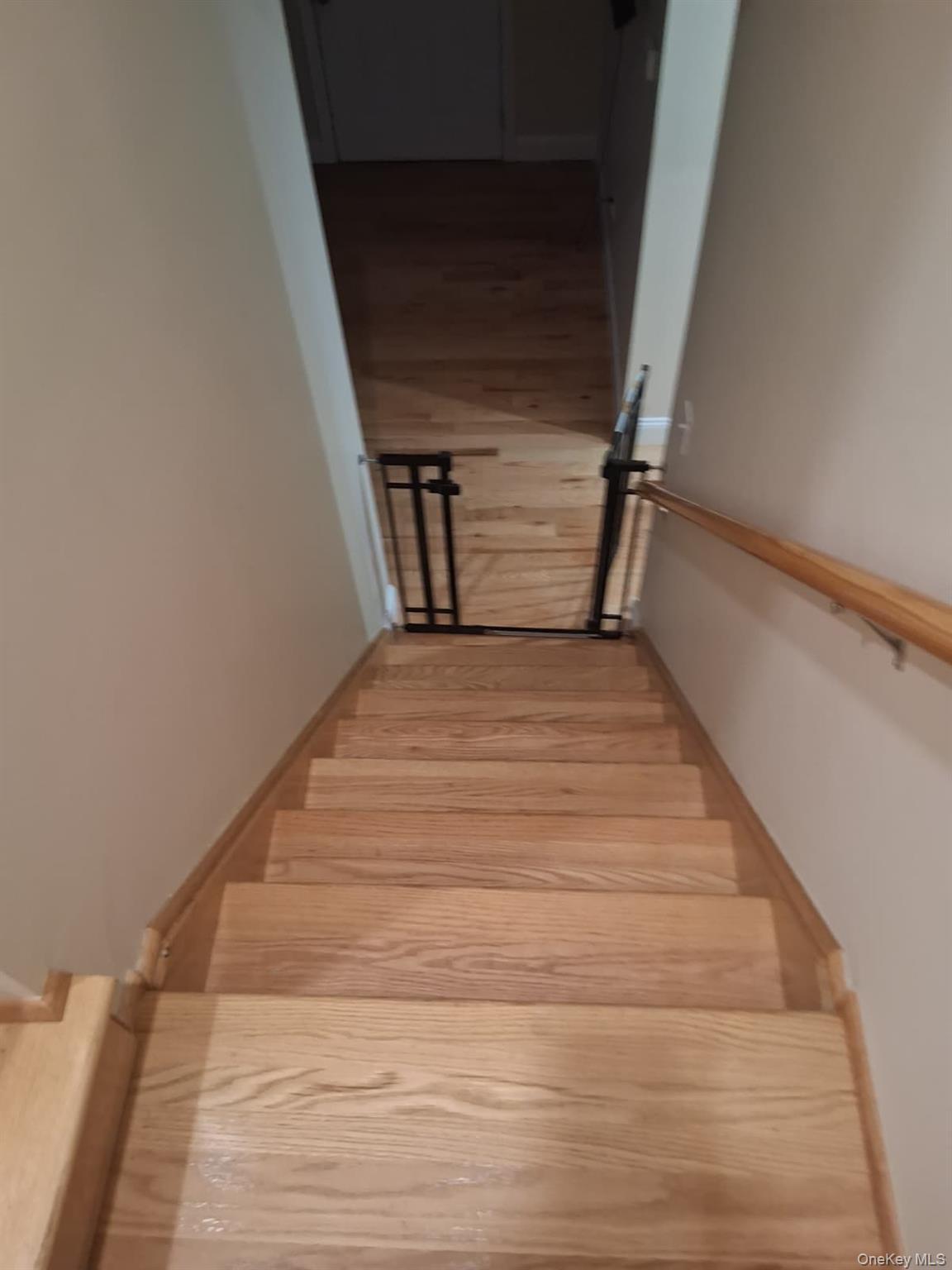 Single Family 226th  Bronx, NY 10466, MLS-1009065-25