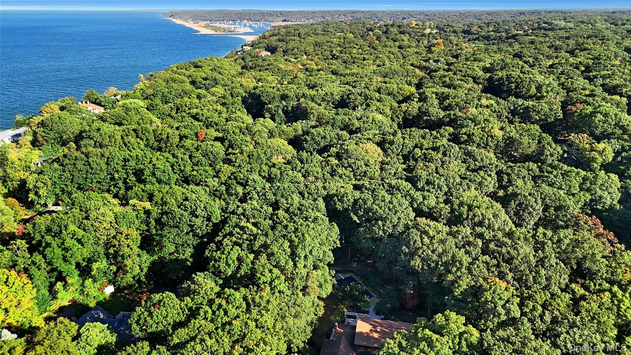Single Family Cliffside Drive  Suffolk County, NY 11777, MLS-1009076-25
