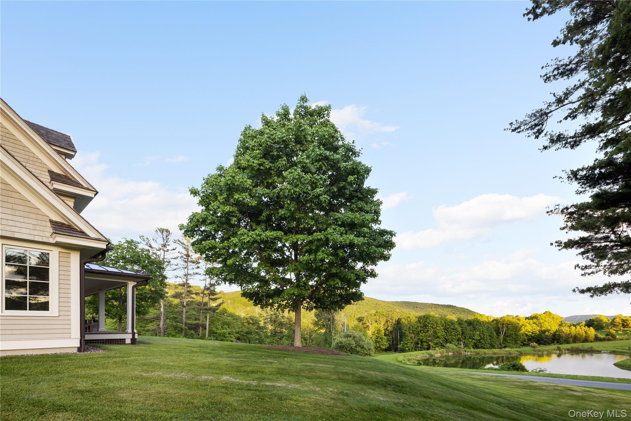 Single Family Dawson Road  Columbia County, NY 12529, MLS-1009156-36